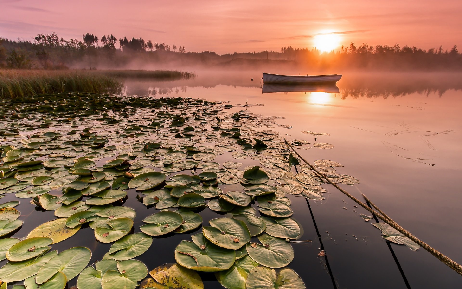 Обои озеро, солнце, утро, туман, горизонт, лодка, lake, the sun, morning, fog, horizon, boat разрешение 5184x2916 Загрузить