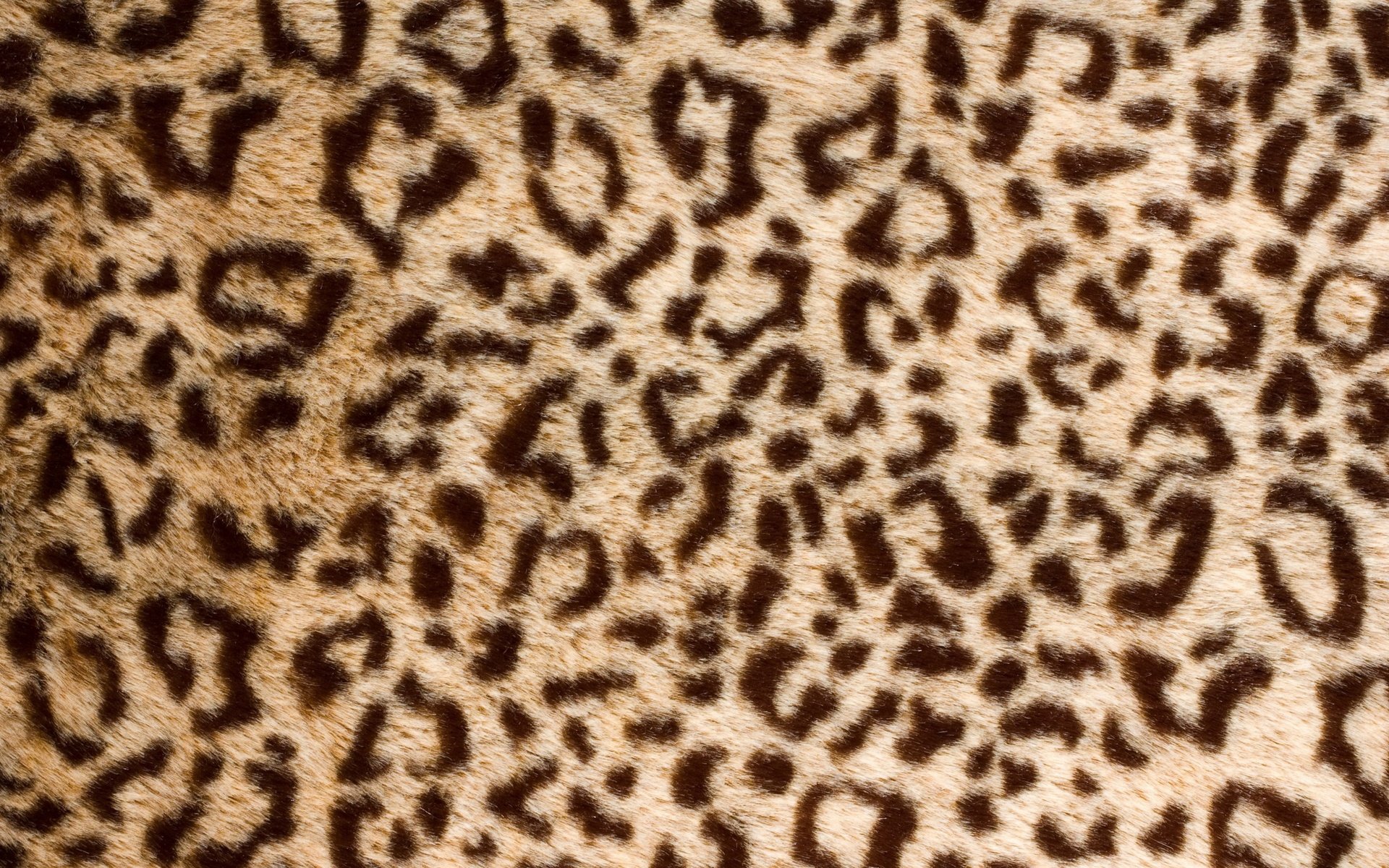 Обои текстура, леопард, шкура, мех, texture, leopard, skin, fur разрешение 2880x1800 Загрузить