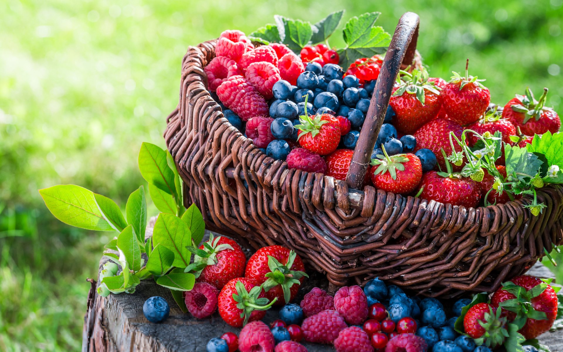 Обои малина, клубника, корзина, ягоды, черника, raspberry, strawberry, basket, berries, blueberries разрешение 3840x2400 Загрузить