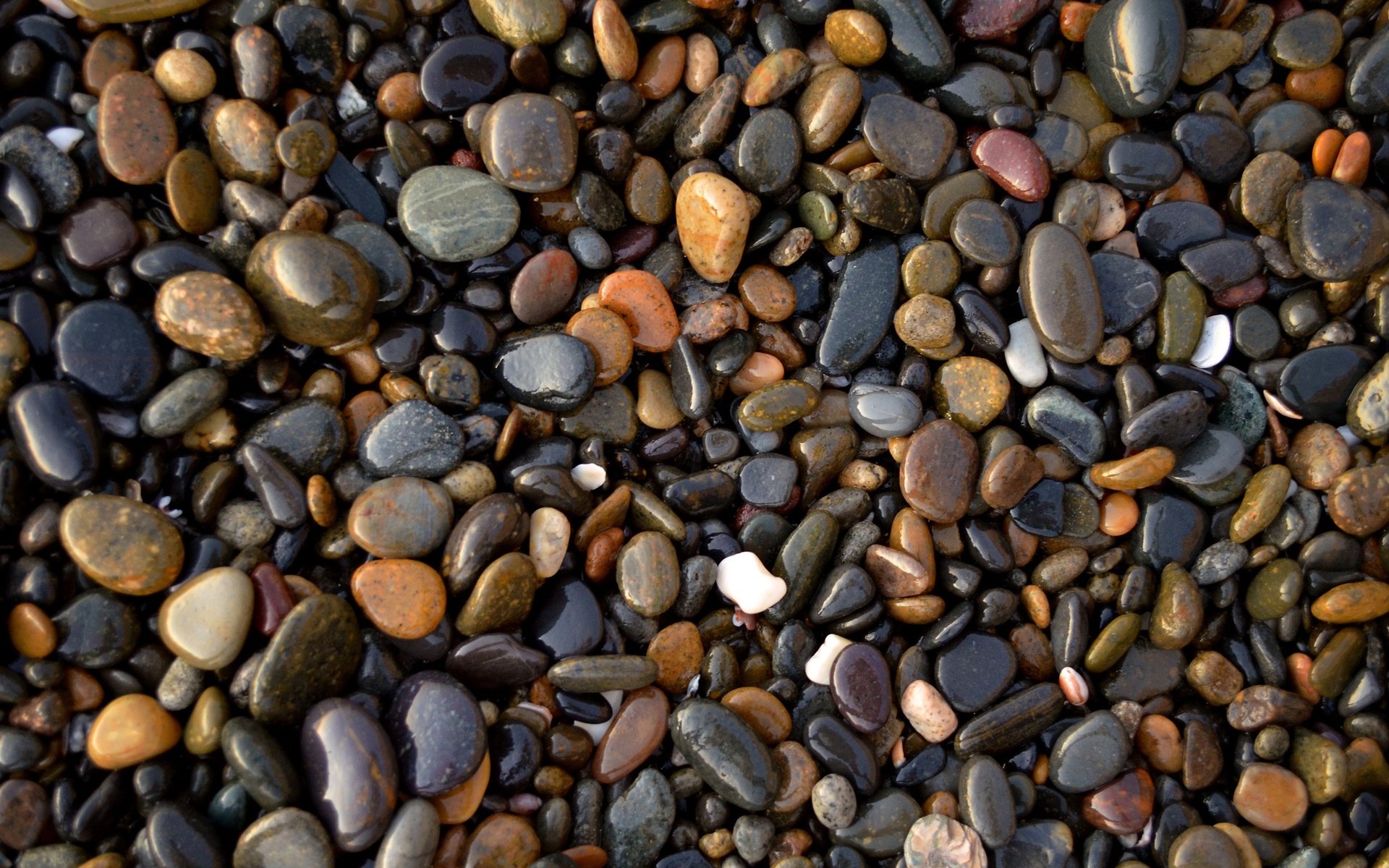 Обои камни, галька, текстура, много, камешки, stones, pebbles, texture, a lot разрешение 2880x1908 Загрузить