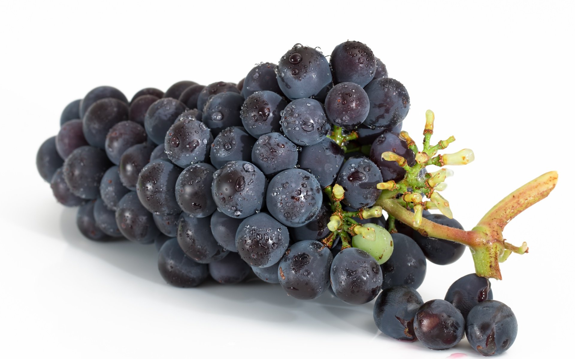 Обои виноград, белый фон, гроздь, grapes, white background, bunch разрешение 5472x3648 Загрузить