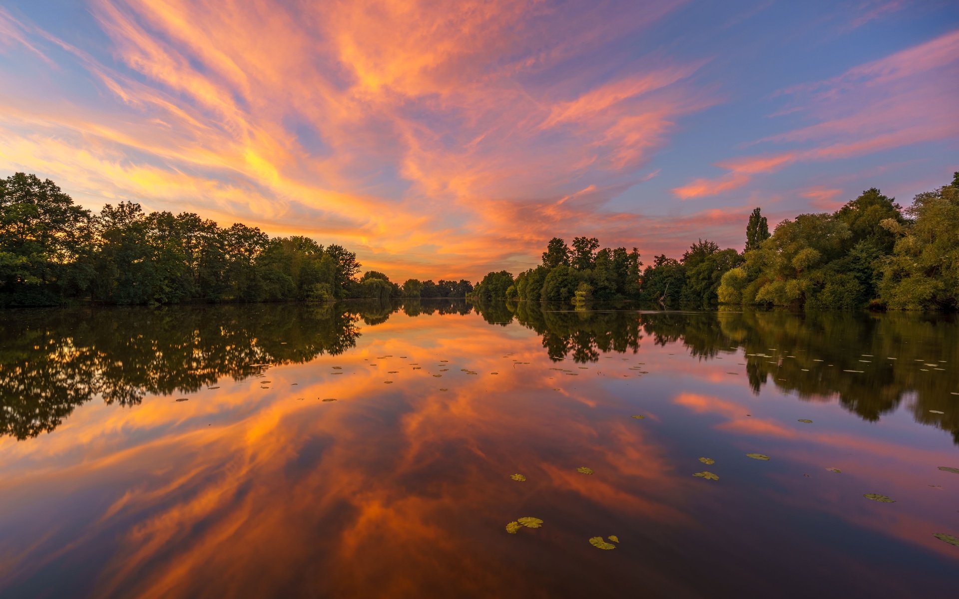 Обои деревья, озеро, закат, отражение, германия, гамбург, hohendeicher lake, озеро хоэндайхер, trees, lake, sunset, reflection, germany, hamburg разрешение 5038x3362 Загрузить