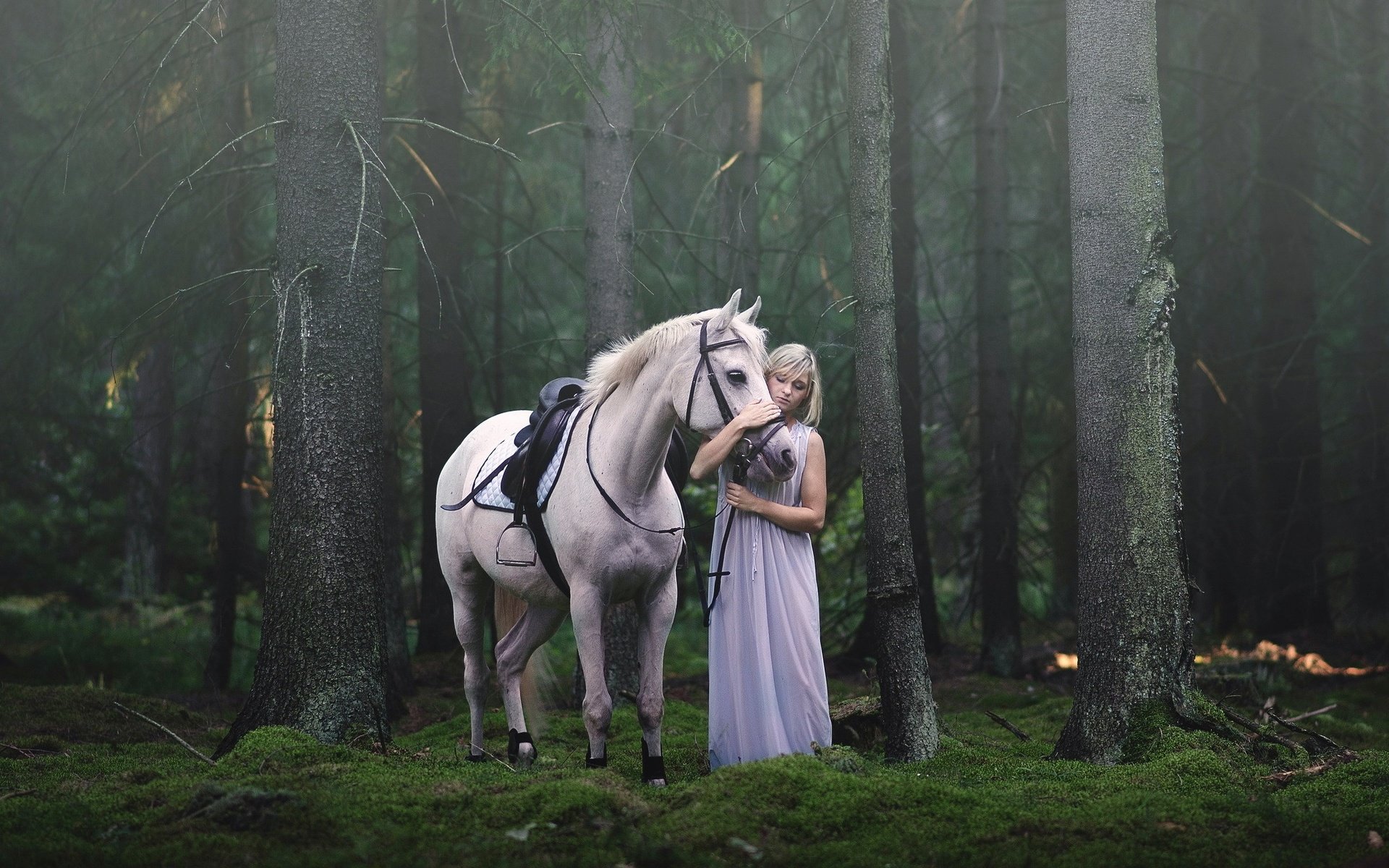 Обои лошадь, лес, девушка, поза, блондинка, модель, лицо, конь, белое платье, white dress, horse, forest, girl, pose, blonde, model, face разрешение 2045x1353 Загрузить