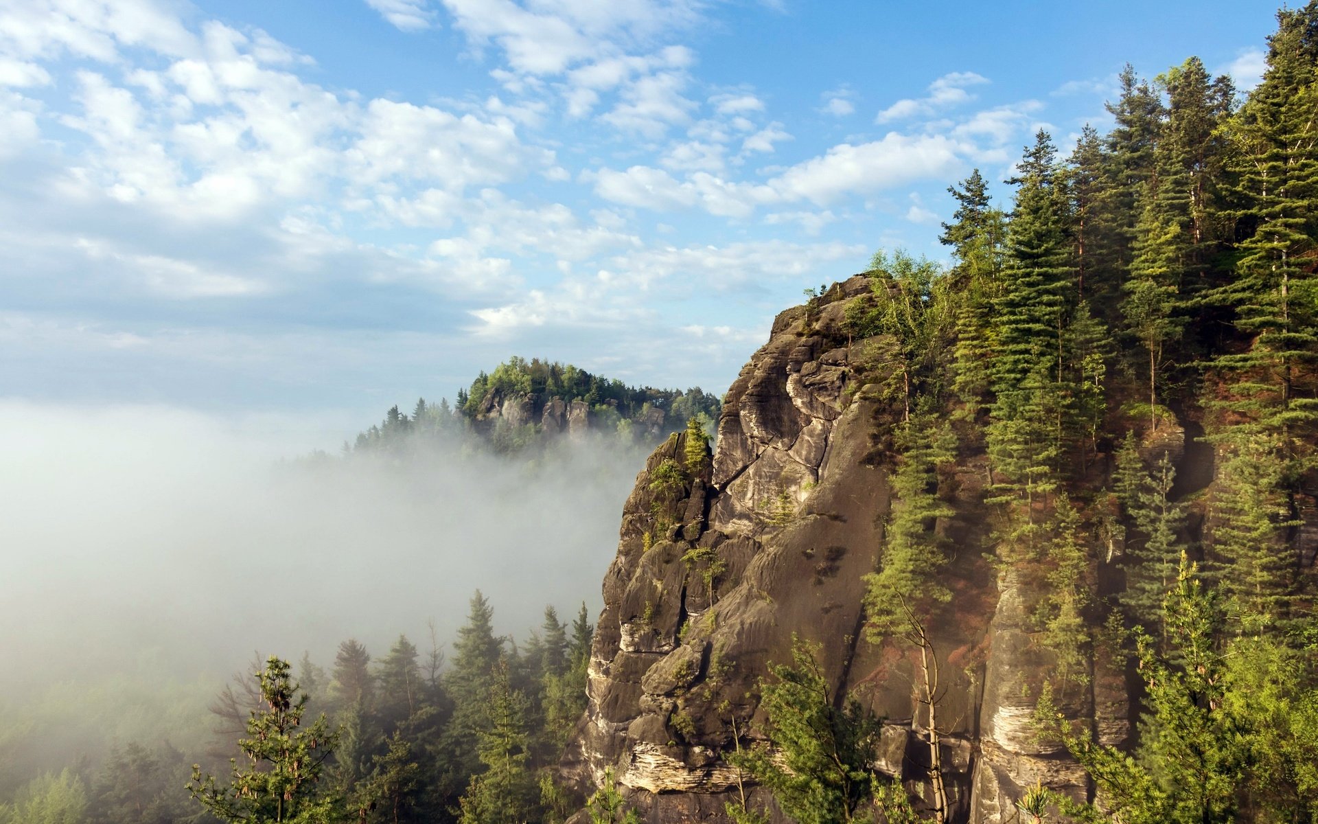 Обои небо, облака, деревья, горы, утро, туман, the sky, clouds, trees, mountains, morning, fog разрешение 2560x1699 Загрузить