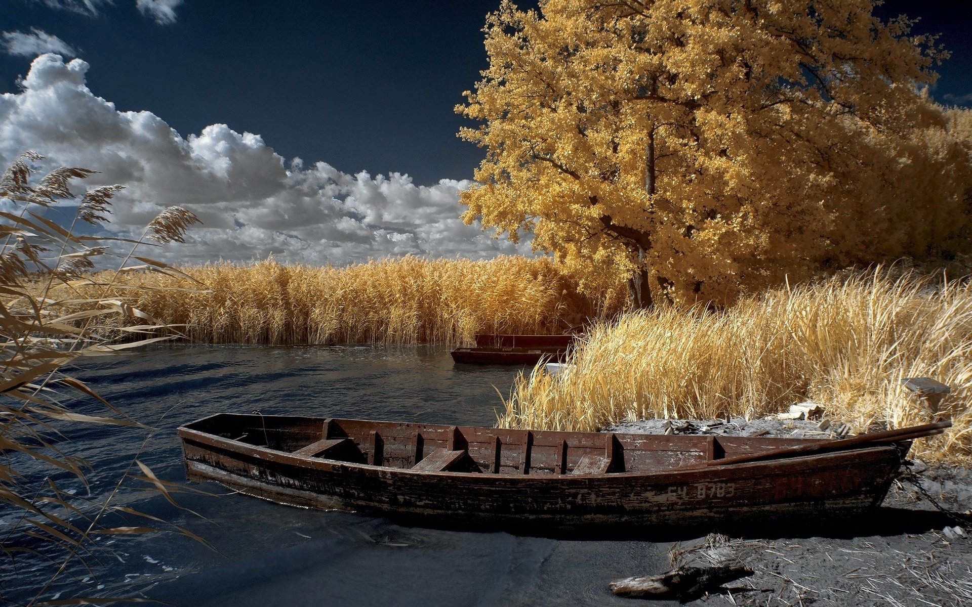 Обои небо, облака, деревья, вода, пейзаж, осень, лодка, камыши, the sky, clouds, trees, water, landscape, autumn, boat, the reeds разрешение 2000x1329 Загрузить