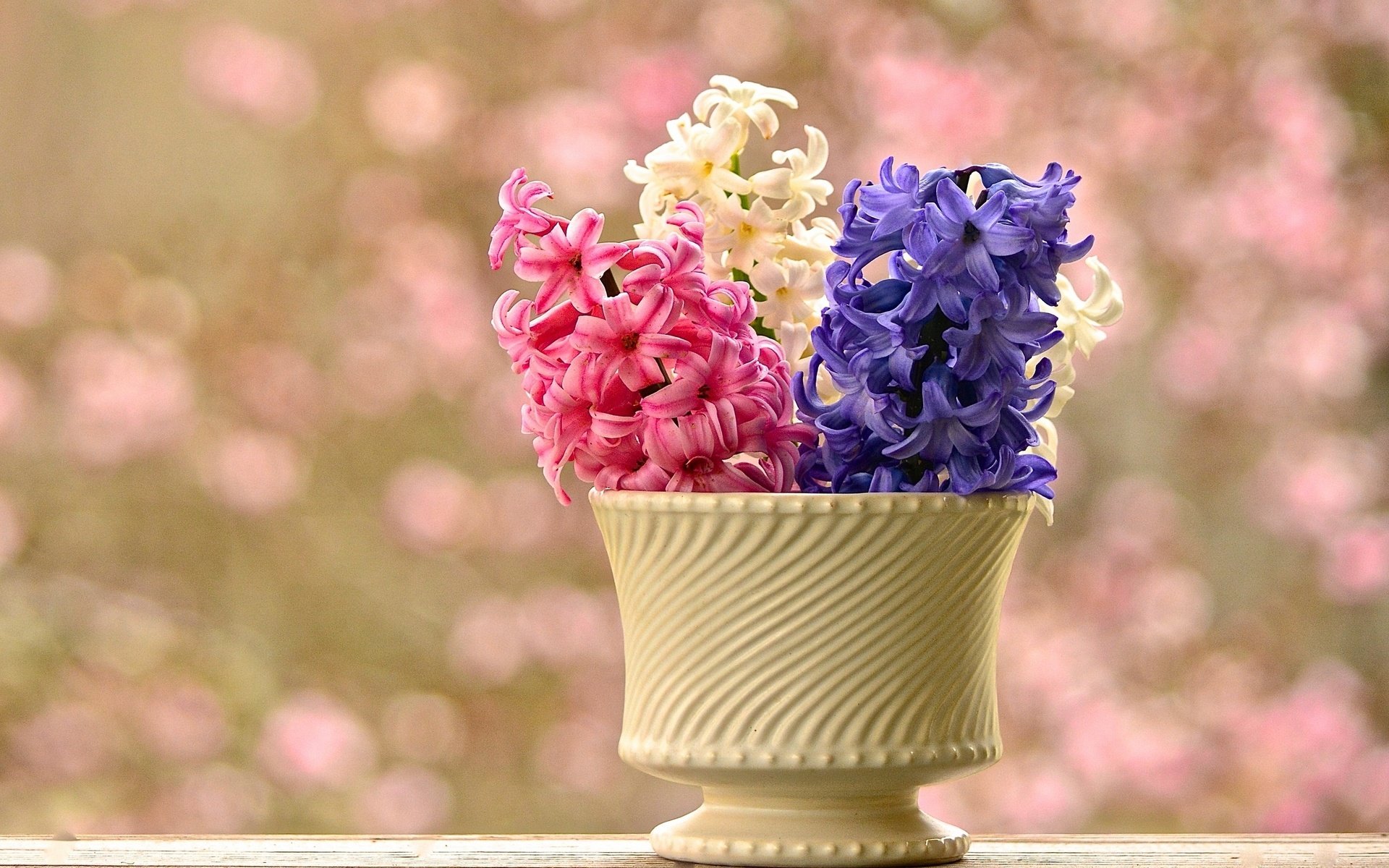 Обои цветы, ваза, боке, гиацинты, flowers, vase, bokeh, hyacinths разрешение 3000x1999 Загрузить