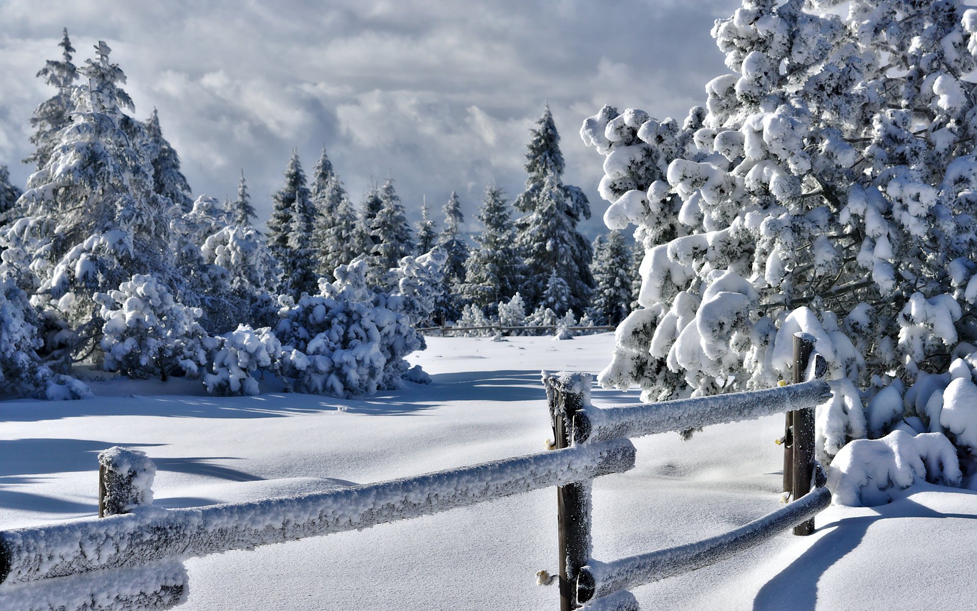 Обои деревья, снег, природа, зима, забор, изгородь, trees, snow, nature, winter, the fence, fence разрешение 5721x3825 Загрузить