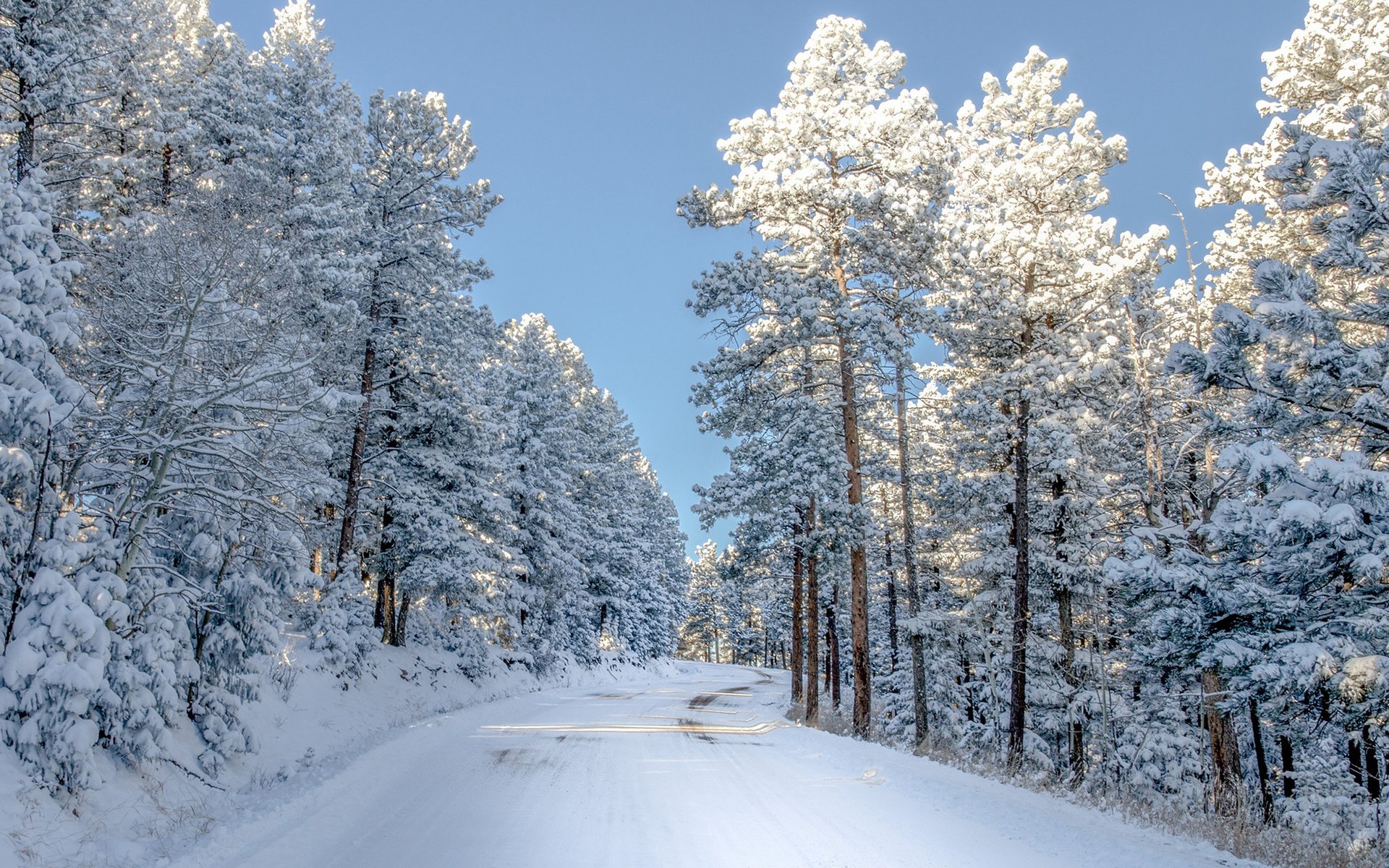 Обои небо, дорога, снег, природа, зима, сша, колорадо,     деревья, the sky, road, snow, nature, winter, usa, colorado, trees разрешение 2000x1379 Загрузить