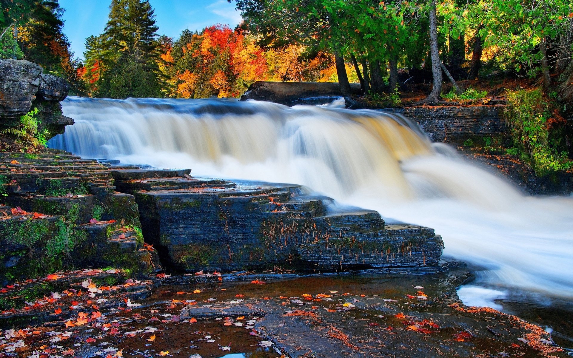 Обои лес, водопад, осень, forest, waterfall, autumn разрешение 2560x1600 Загрузить