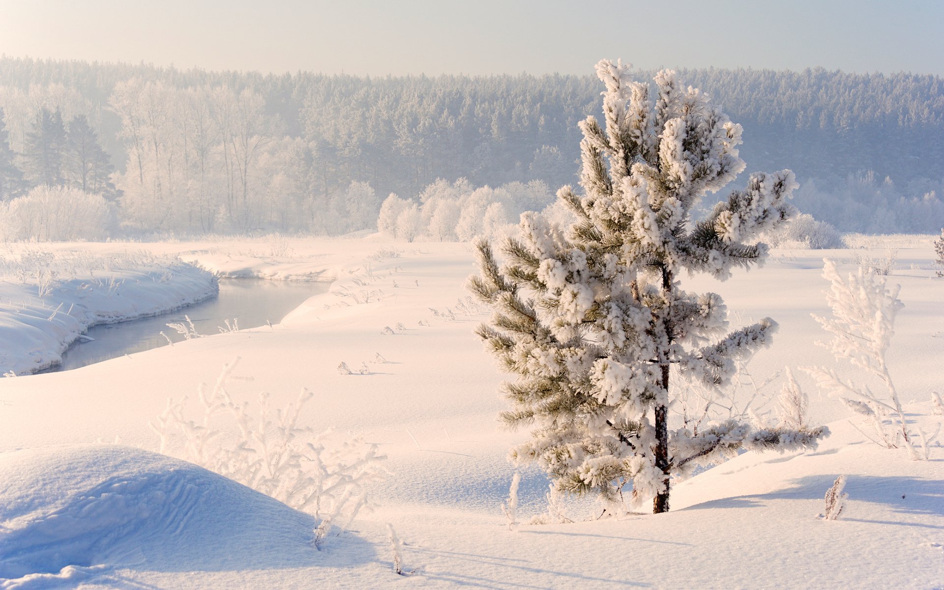 Обои река, снег, природа, зима, россия, сосна, урал, river, snow, nature, winter, russia, pine, ural разрешение 2560x1600 Загрузить