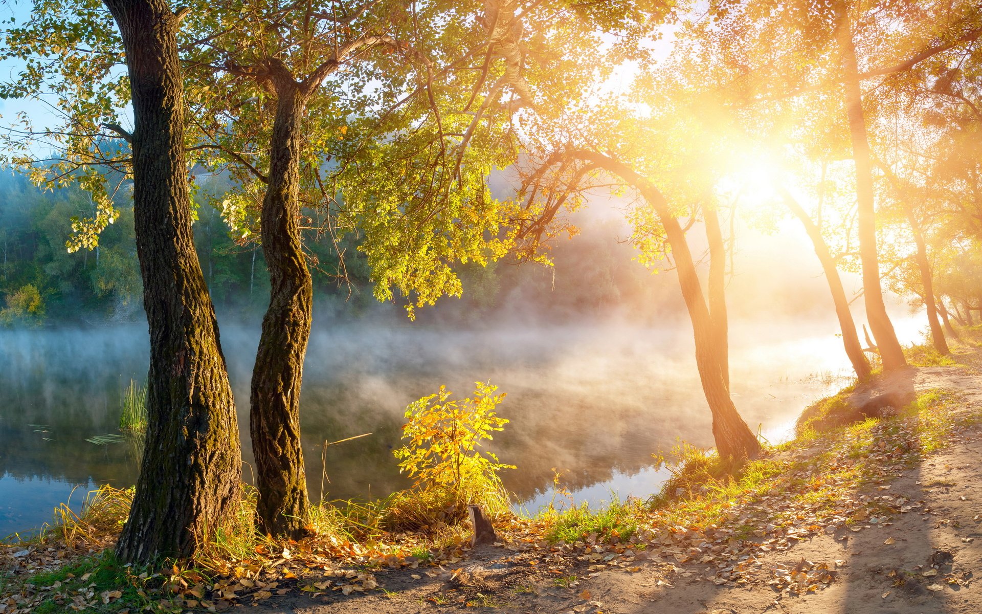 Обои деревья, озеро, солнце, туман, рассвет, осень, олнце, trees, lake, the sun, fog, dawn, autumn разрешение 5000x2960 Загрузить