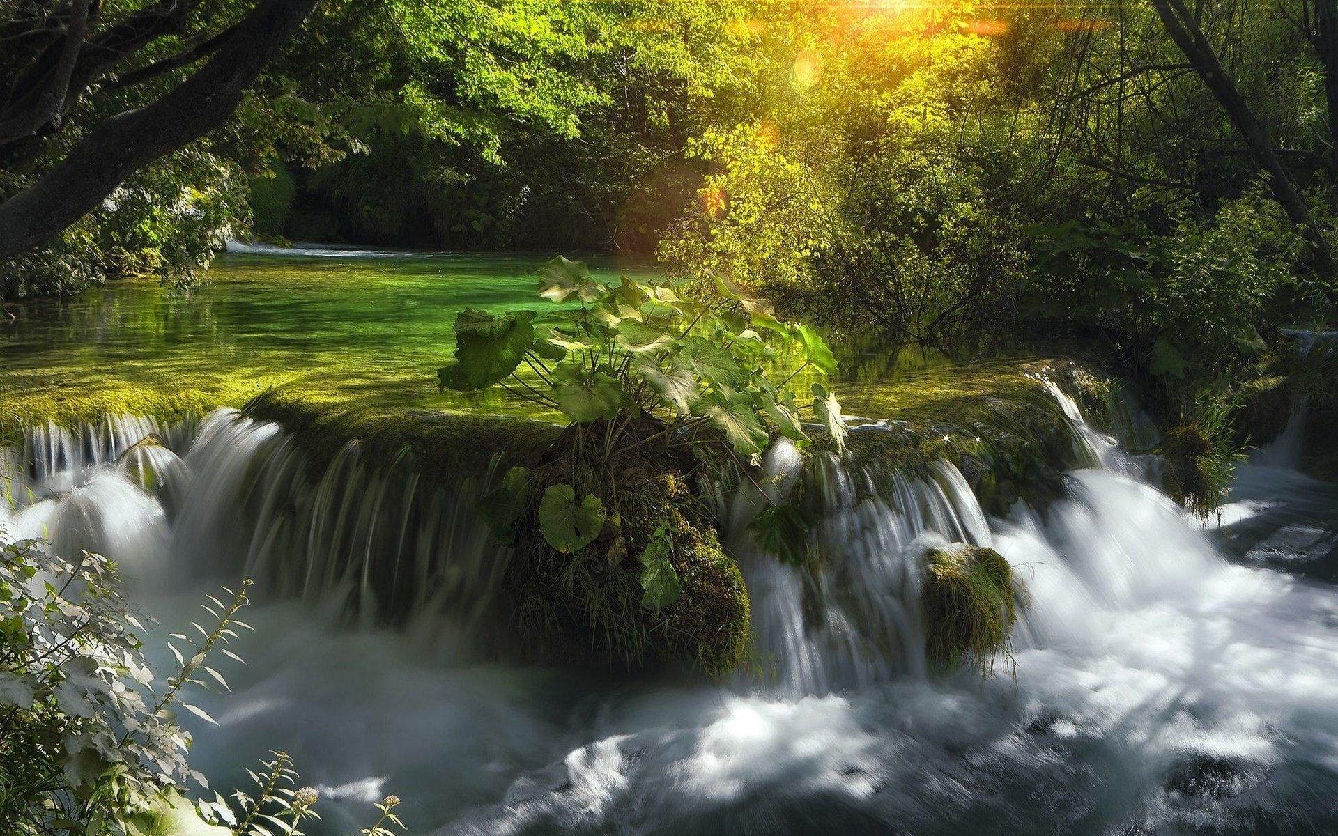 Обои река, природа, лес, водопад, хорватия, каскад, river, nature, forest, waterfall, croatia, cascade разрешение 2560x1618 Загрузить