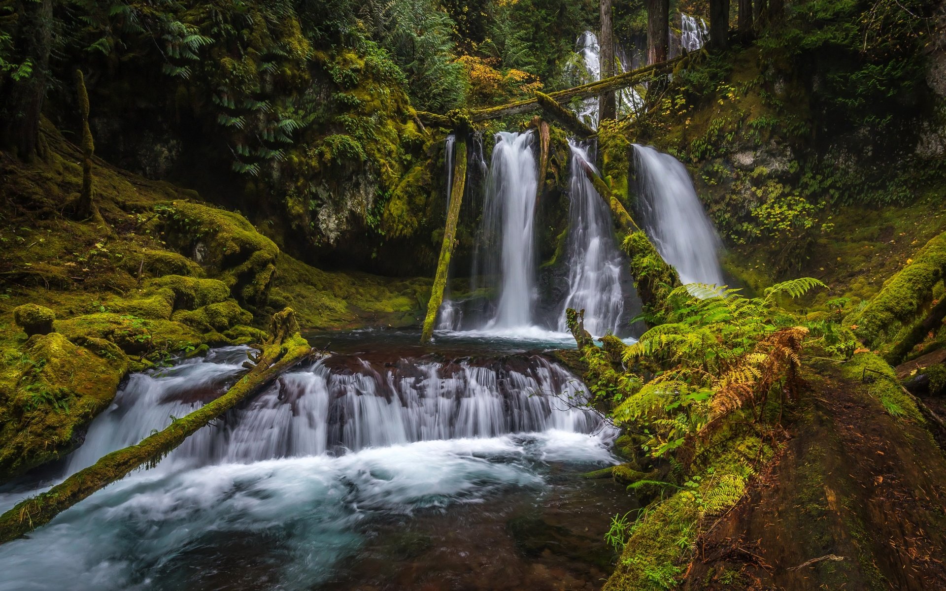 Обои природа, парк, водопад, сша, мох, водопады, silver falls state park, nature, park, waterfall, usa, moss, waterfalls разрешение 2880x1800 Загрузить