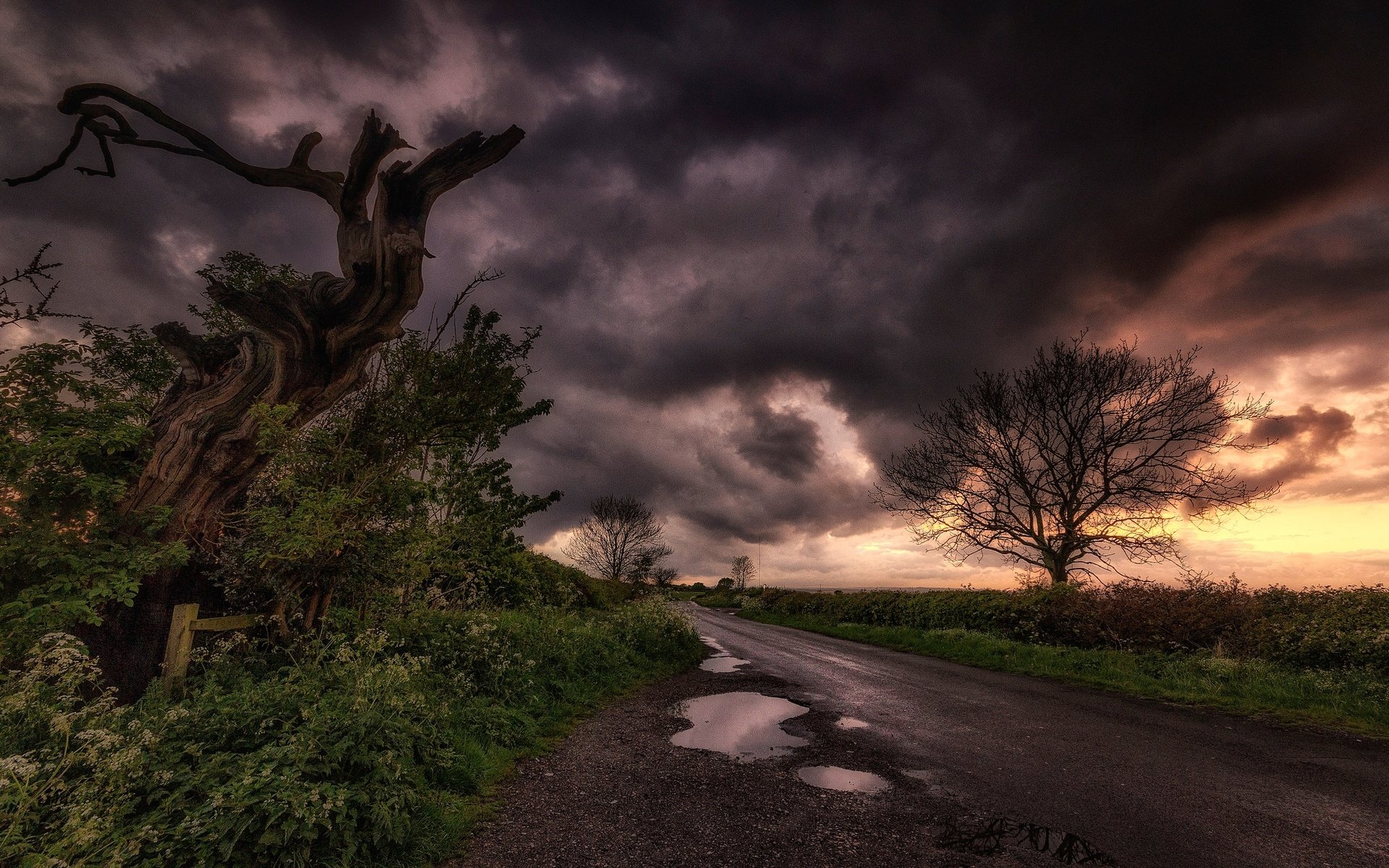 Обои дорога, облака, дерево, тучи, пейзаж, лужа, road, clouds, tree, landscape, puddle разрешение 2048x1267 Загрузить