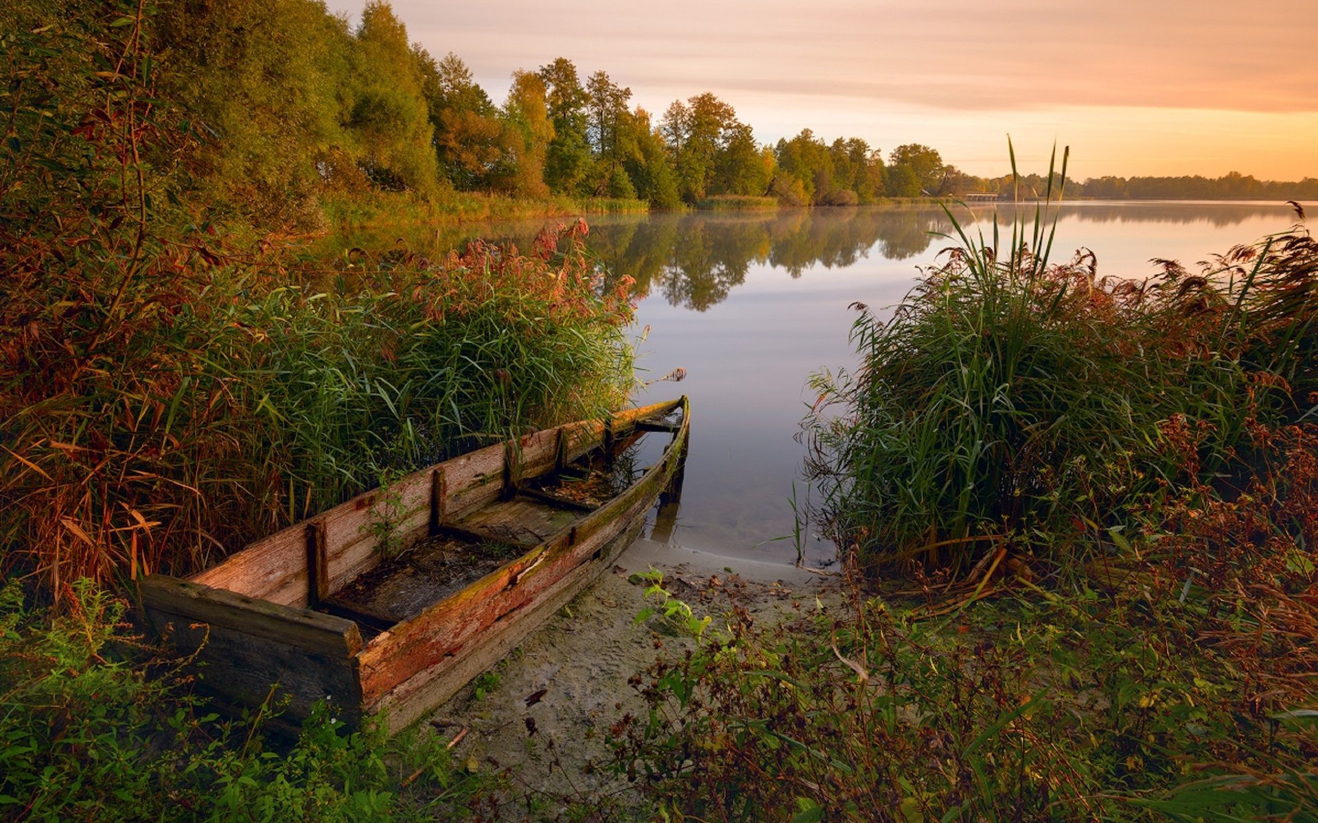 Обои деревья, озеро, растения, лес, лодка, камыши, nikonzoom, trees, lake, plants, forest, boat, the reeds разрешение 2560x1627 Загрузить