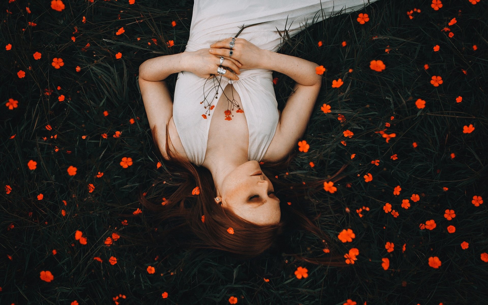 Обои цветы, девушка, настроение, рыжая, рыжеволосая, flowers, girl, mood, red, redhead разрешение 2048x1366 Загрузить