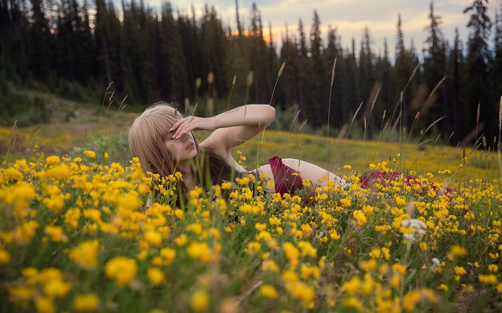 Обои цветы, трава, природа, лес, девушка, поле, лето, flowers, grass, nature, forest, girl, field, summer разрешение 1920x1277 Загрузить