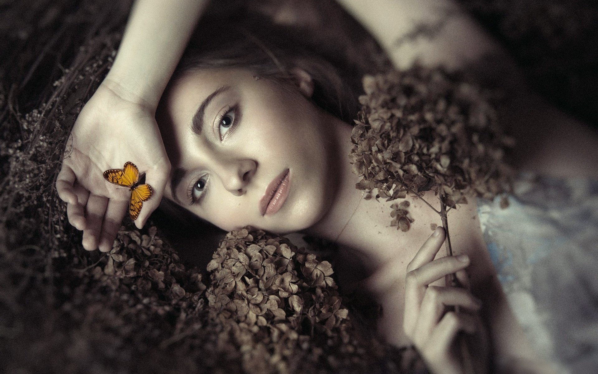 Обои цветы, девушка, портрет, бабочка, модель, фотосессия, ania, flowers, girl, portrait, butterfly, model, photoshoot разрешение 2000x1333 Загрузить