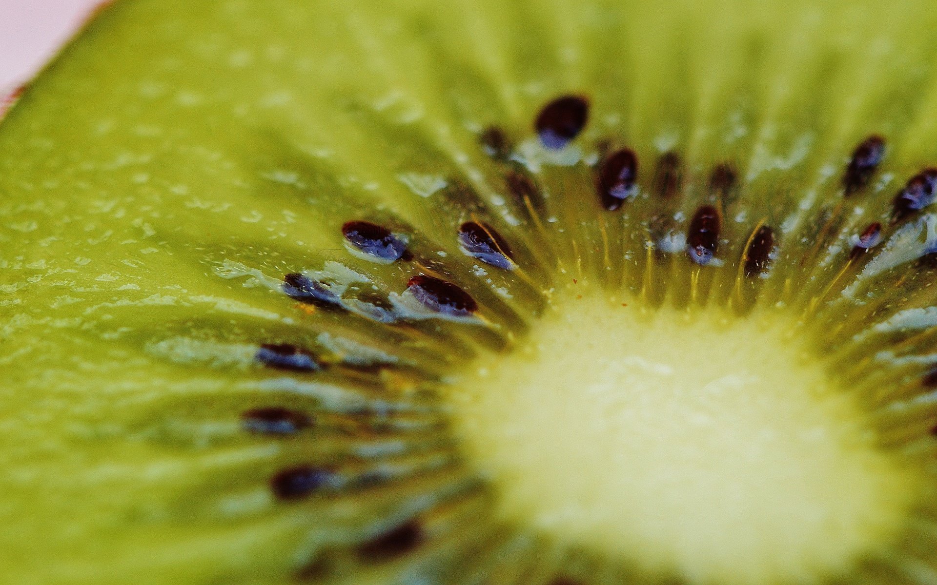 Обои фрукты, киви, крупным планом, fruit, kiwi, closeup разрешение 6016x4000 Загрузить