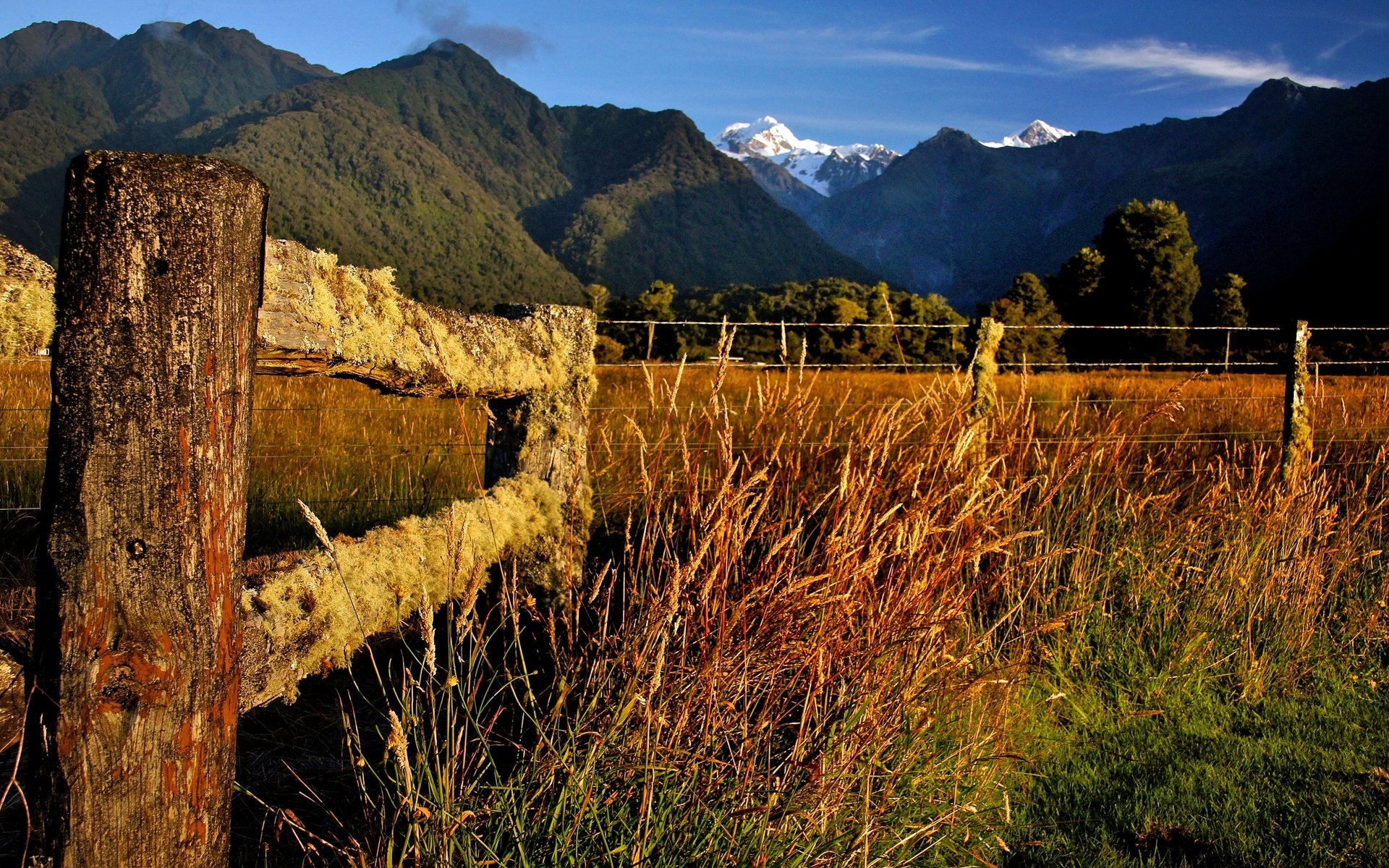 Обои трава, горы, природа, пейзаж, забор, мох, новая зеландия, grass, mountains, nature, landscape, the fence, moss, new zealand разрешение 2400x1451 Загрузить