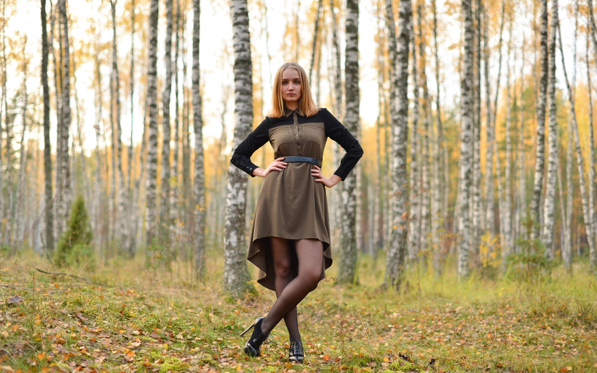 Обои лес, платье, березы, осень, модель, рыжеволосая, forest, dress, birch, autumn, model, redhead разрешение 3008x2008 Загрузить