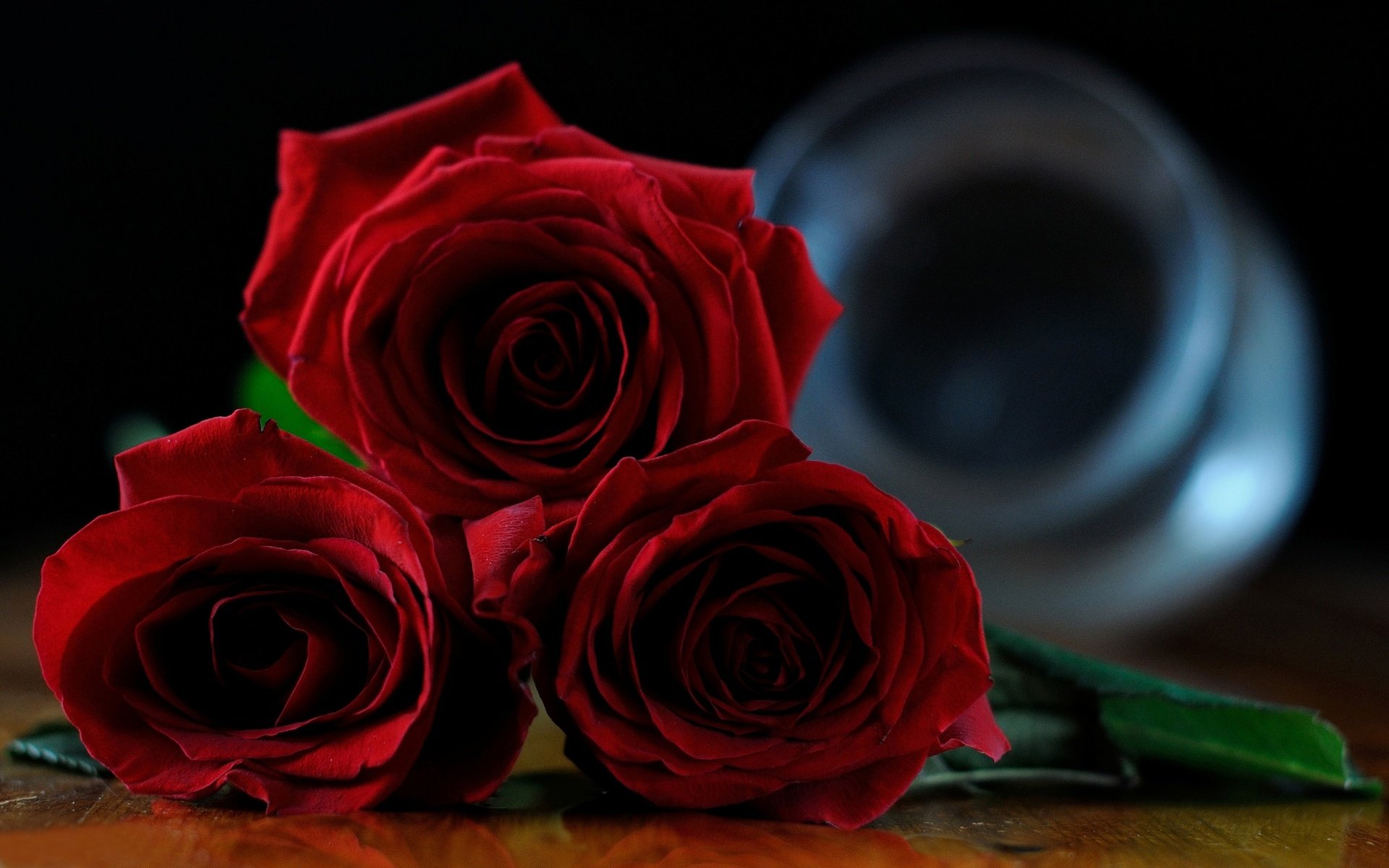 Обои цветы, бутоны, розы, красные розы, flowers, buds, roses, red roses разрешение 2048x1275 Загрузить