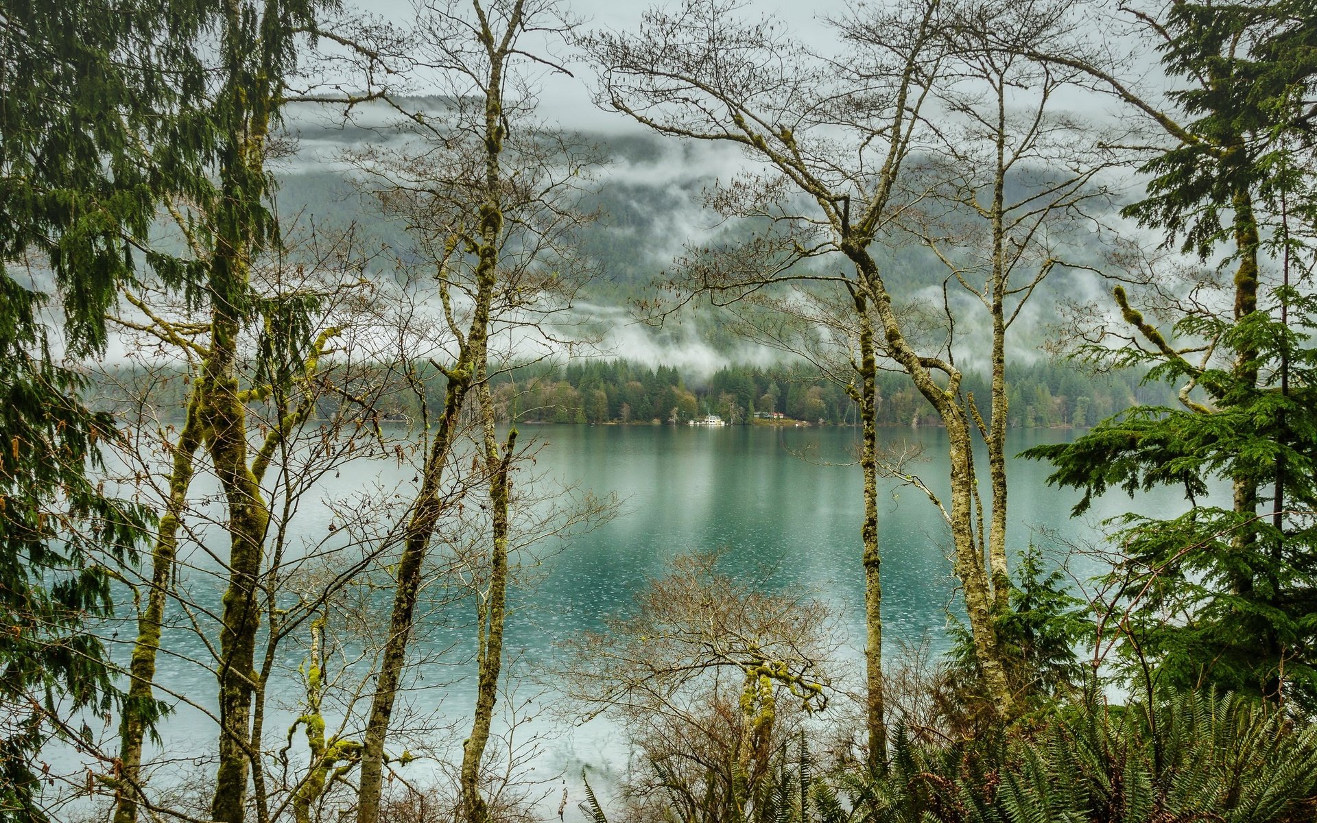 Обои деревья, озеро, лес, туман, сша, olympic national park, lake crescent, национальный парк олимпик, trees, lake, forest, fog, usa разрешение 2200x1425 Загрузить