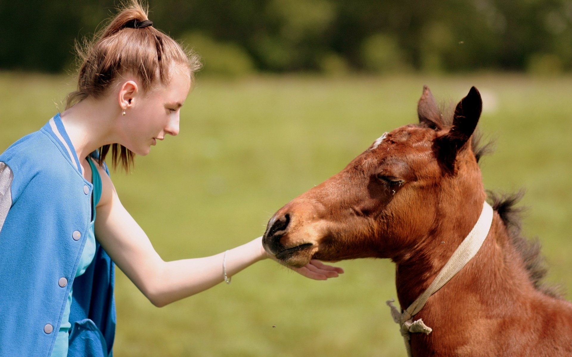 Обои лошадь, природа, девушка, настроение, конь, дружба, жеребенок, контакт, horse, nature, girl, mood, friendship, foal, contact разрешение 3088x2056 Загрузить