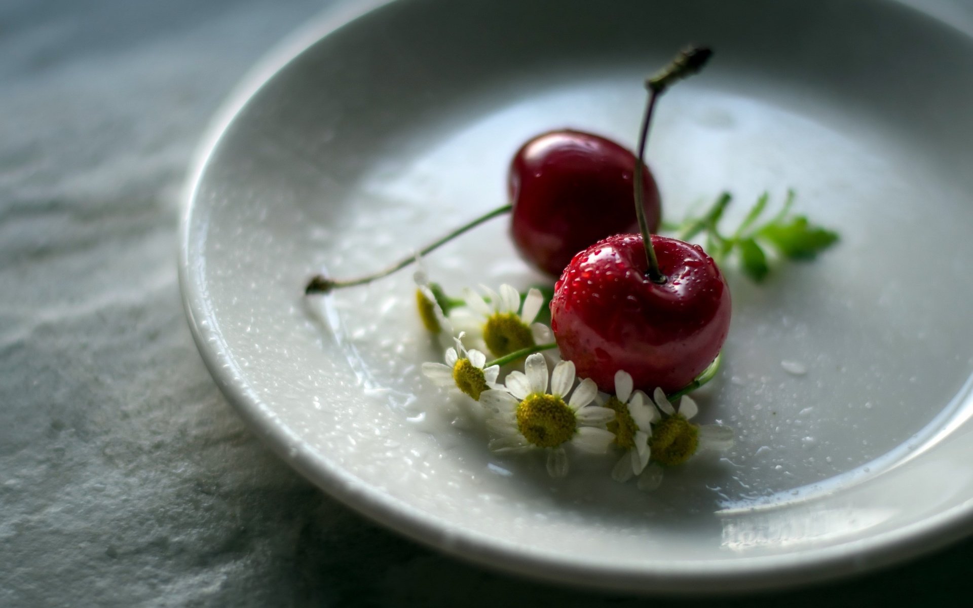 Обои цветы, ромашка, черешня, блюдце, ягоды, вишня, julie jablonski, flowers, daisy, cherry, saucer, berries разрешение 2560x1663 Загрузить