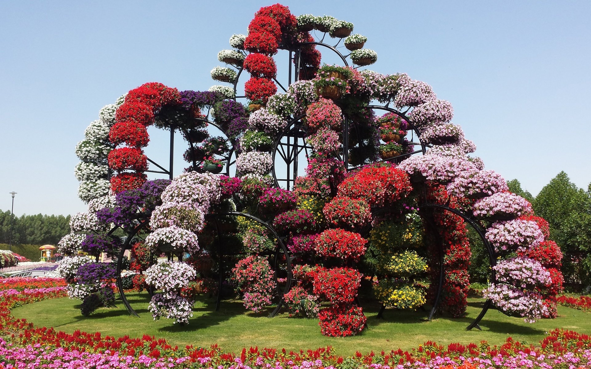 Обои цветы, дизайн, парк, дубаи, оаэ, miracle garden, flowers, design, park, dubai, uae разрешение 2600x1500 Загрузить