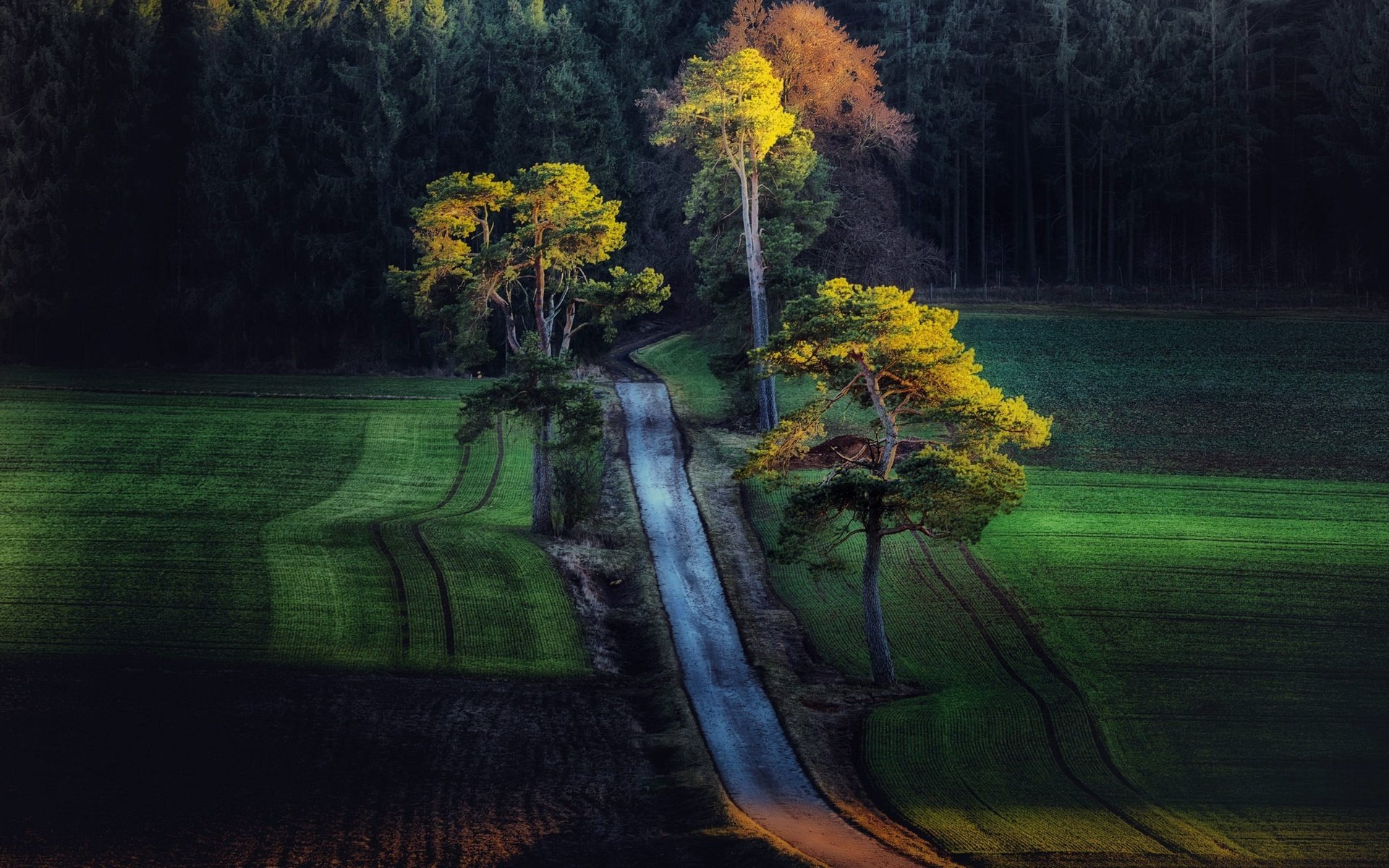 Обои дорога, деревья, лес, поля, поле, осень, road, trees, forest, field, autumn разрешение 2048x1336 Загрузить