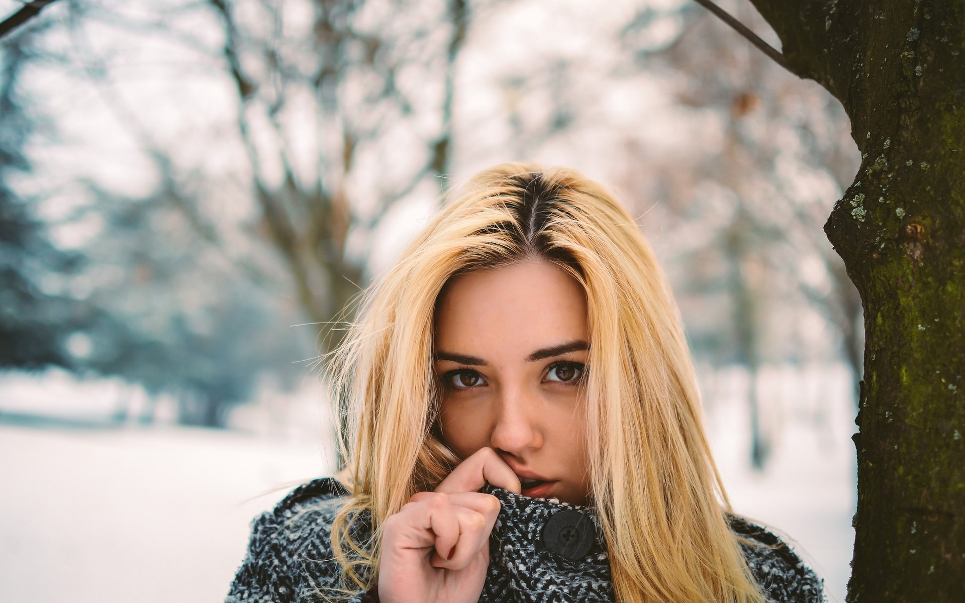 Обои зима, девушка, портрет, взгляд, волосы, лицо, winter, girl, portrait, look, hair, face разрешение 2048x1365 Загрузить