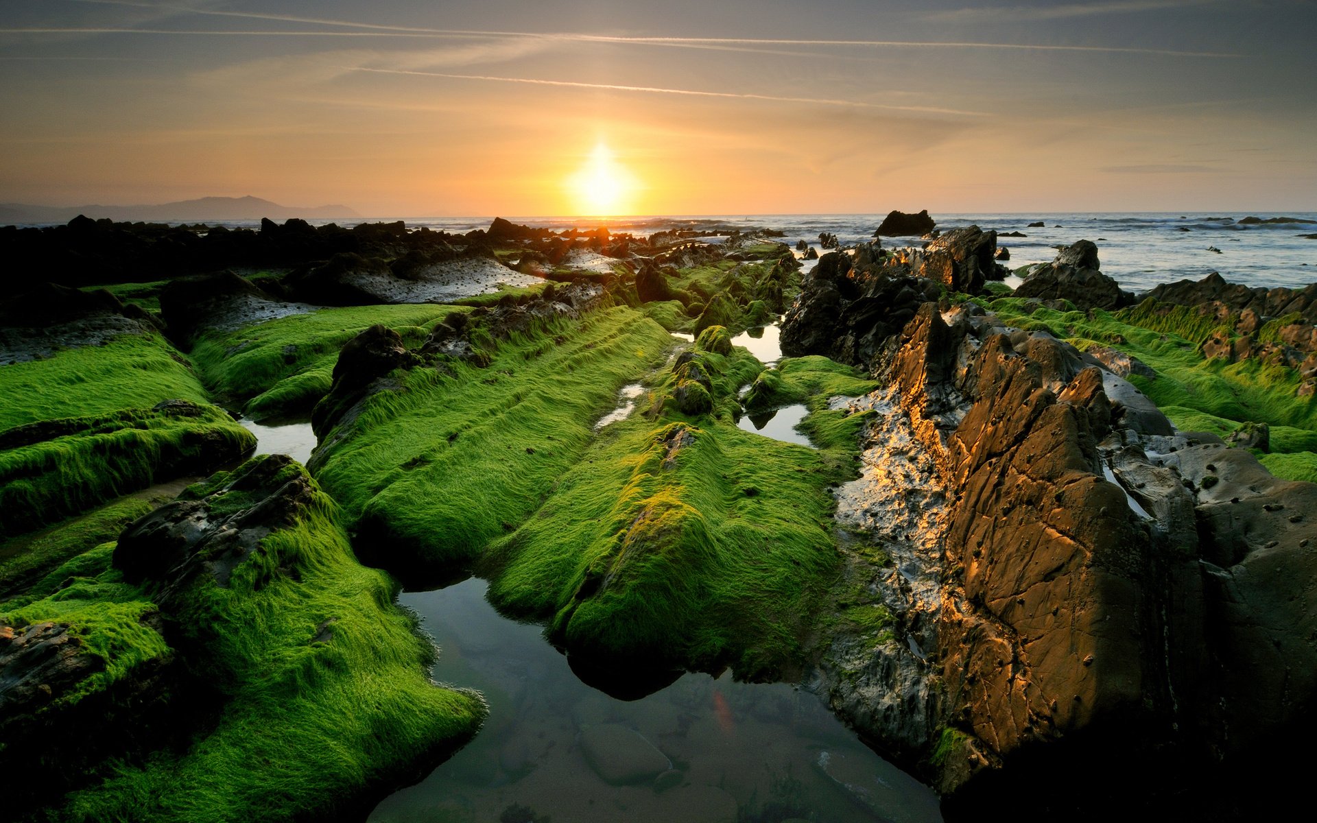 Обои небо, скалы, солнце, камни, море, побережье, водоросли, the sky, rocks, the sun, stones, sea, coast, algae разрешение 2560x1700 Загрузить