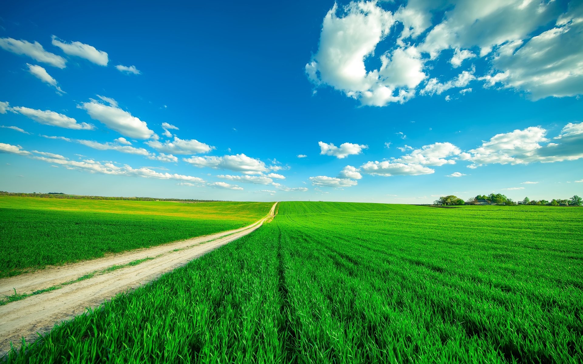 Обои небо, дорога, трава, облака, поле, горизонт, the sky, road, grass, clouds, field, horizon разрешение 4500x3000 Загрузить