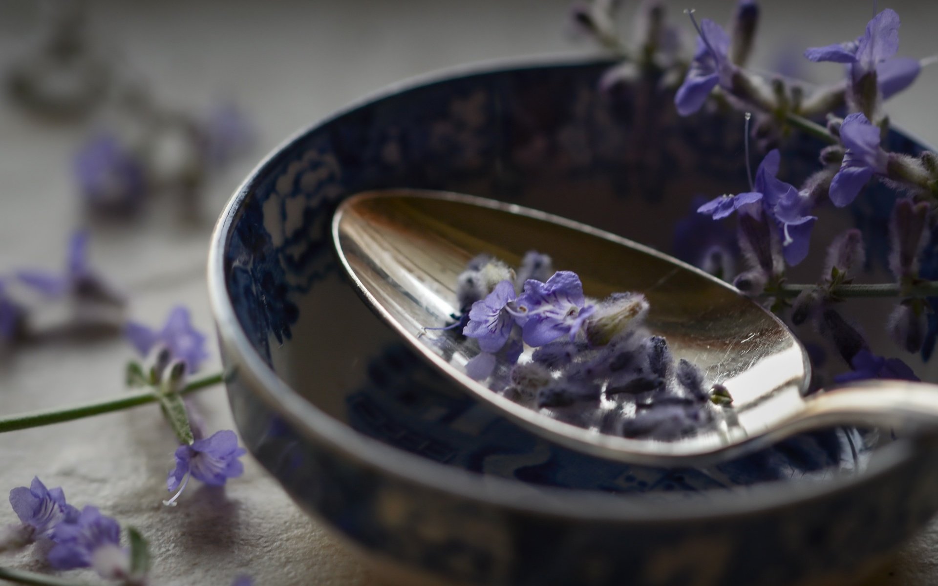 Обои цветы, макро, лаванда, ложка, flowers, macro, lavender, spoon разрешение 2560x1707 Загрузить