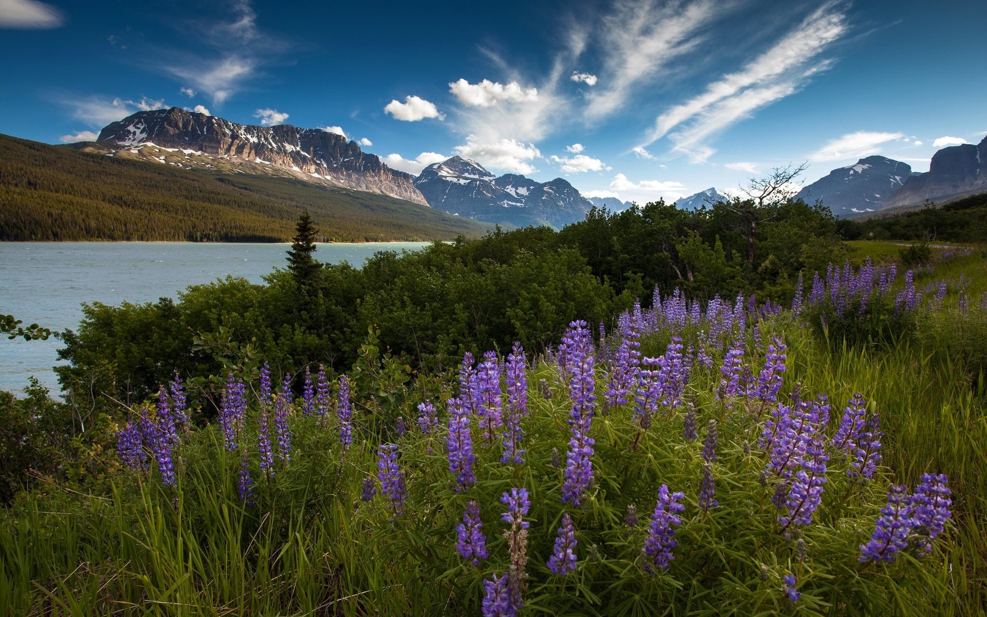 Обои небо, цветы, облака, река, горы, утро, лето, the sky, flowers, clouds, river, mountains, morning, summer разрешение 2048x1365 Загрузить