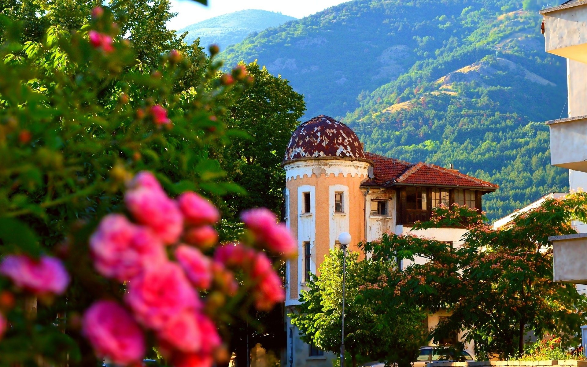 Обои горы, природа, розы, здания, старый дом, mountains, nature, roses, building, old house разрешение 2967x1803 Загрузить