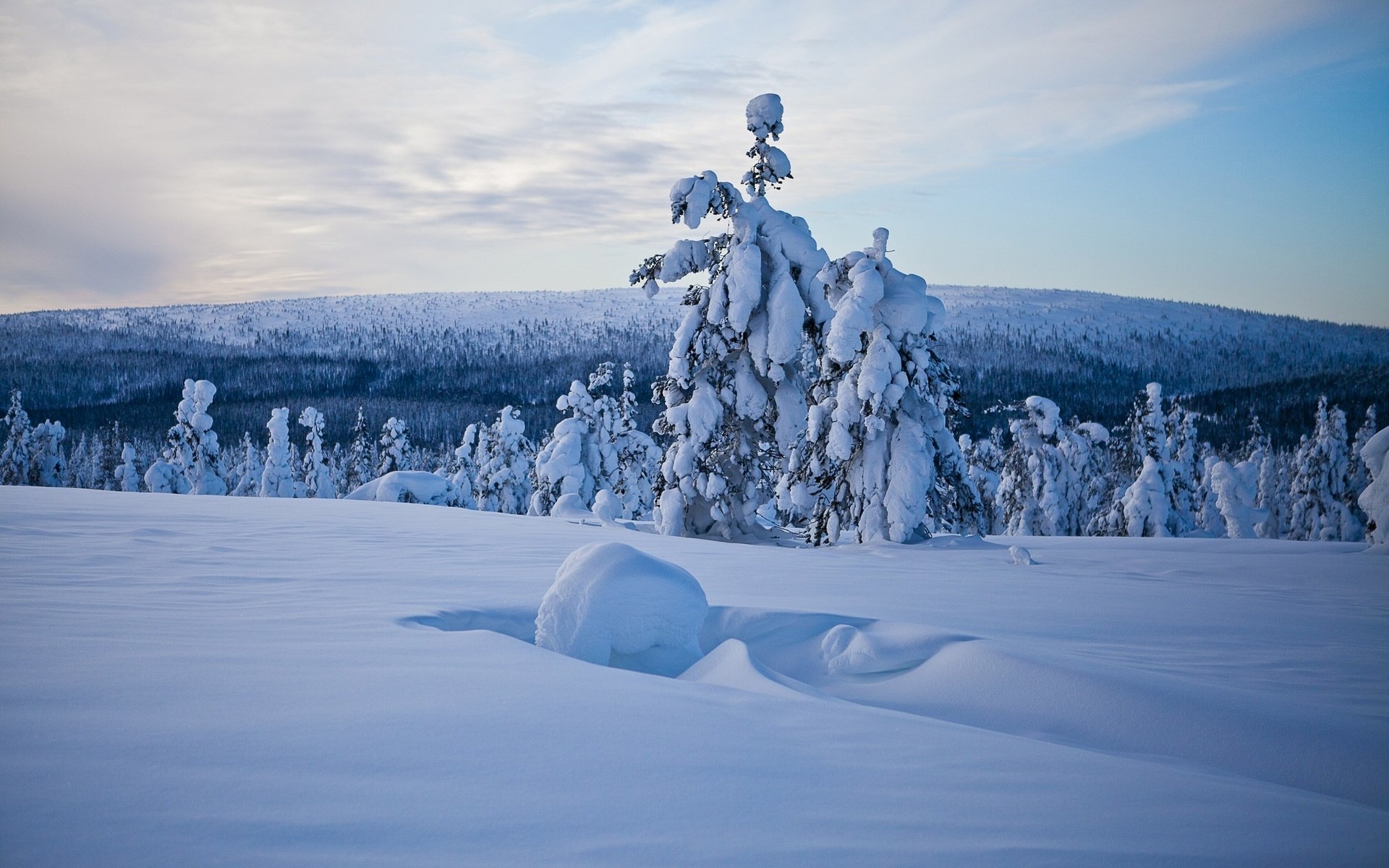 Обои природа, лес, зима, лапландия, nature, forest, winter, lapland разрешение 2560x1600 Загрузить