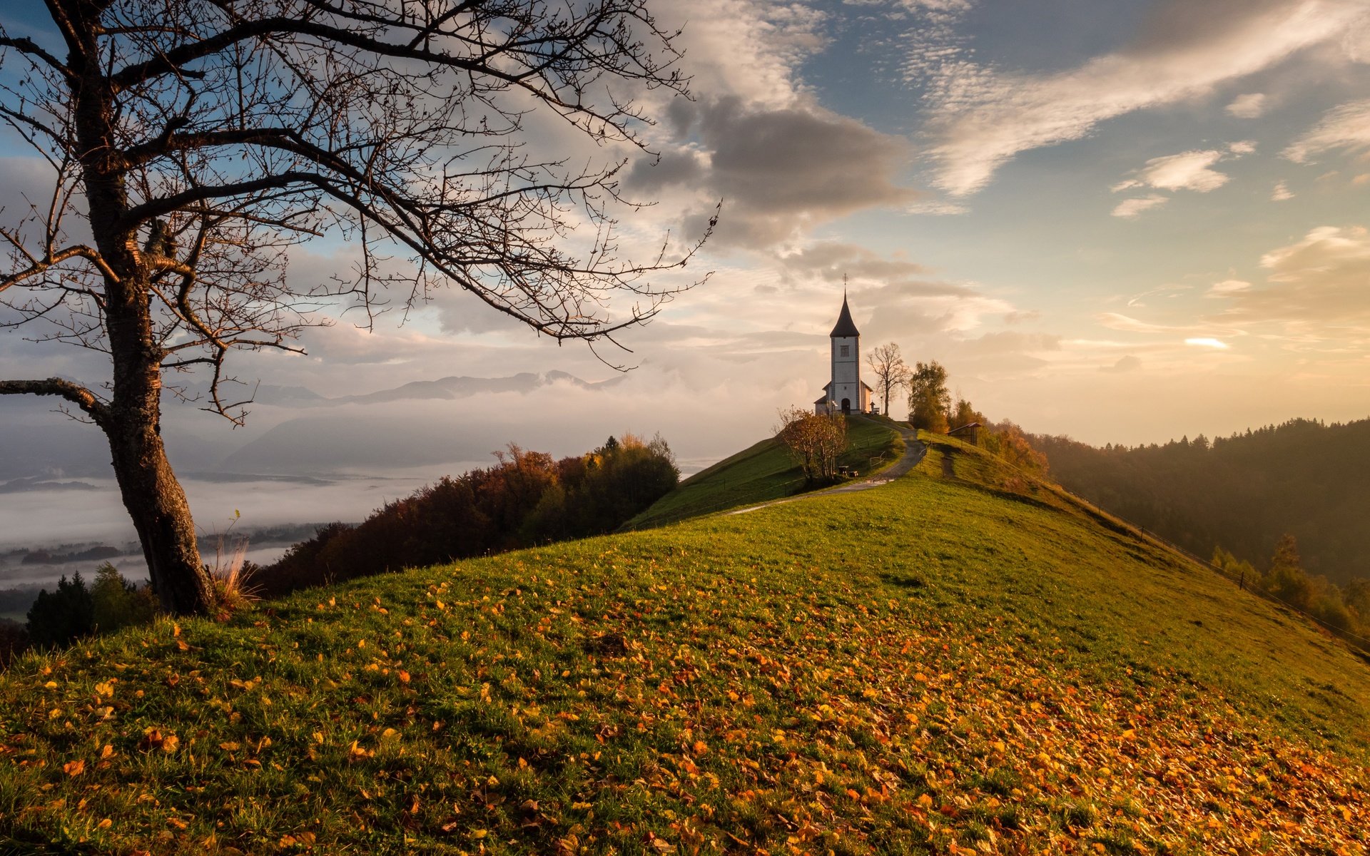 Обои дерево, листья, осень, церковь, холм, словения, tree, leaves, autumn, church, hill, slovenia разрешение 4000x2500 Загрузить