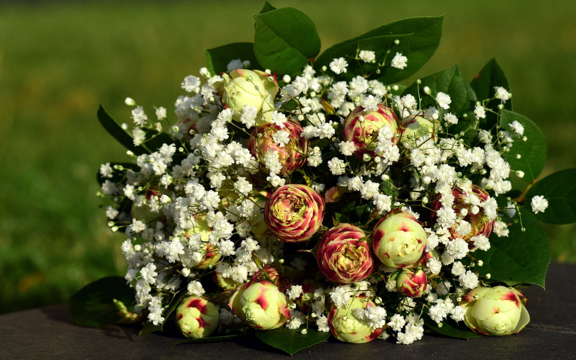 Обои цветы, листья, букет, ранункулюс, лютик, гипсофила, flowers, leaves, bouquet, ranunculus, buttercup, gypsophila разрешение 5992x3808 Загрузить