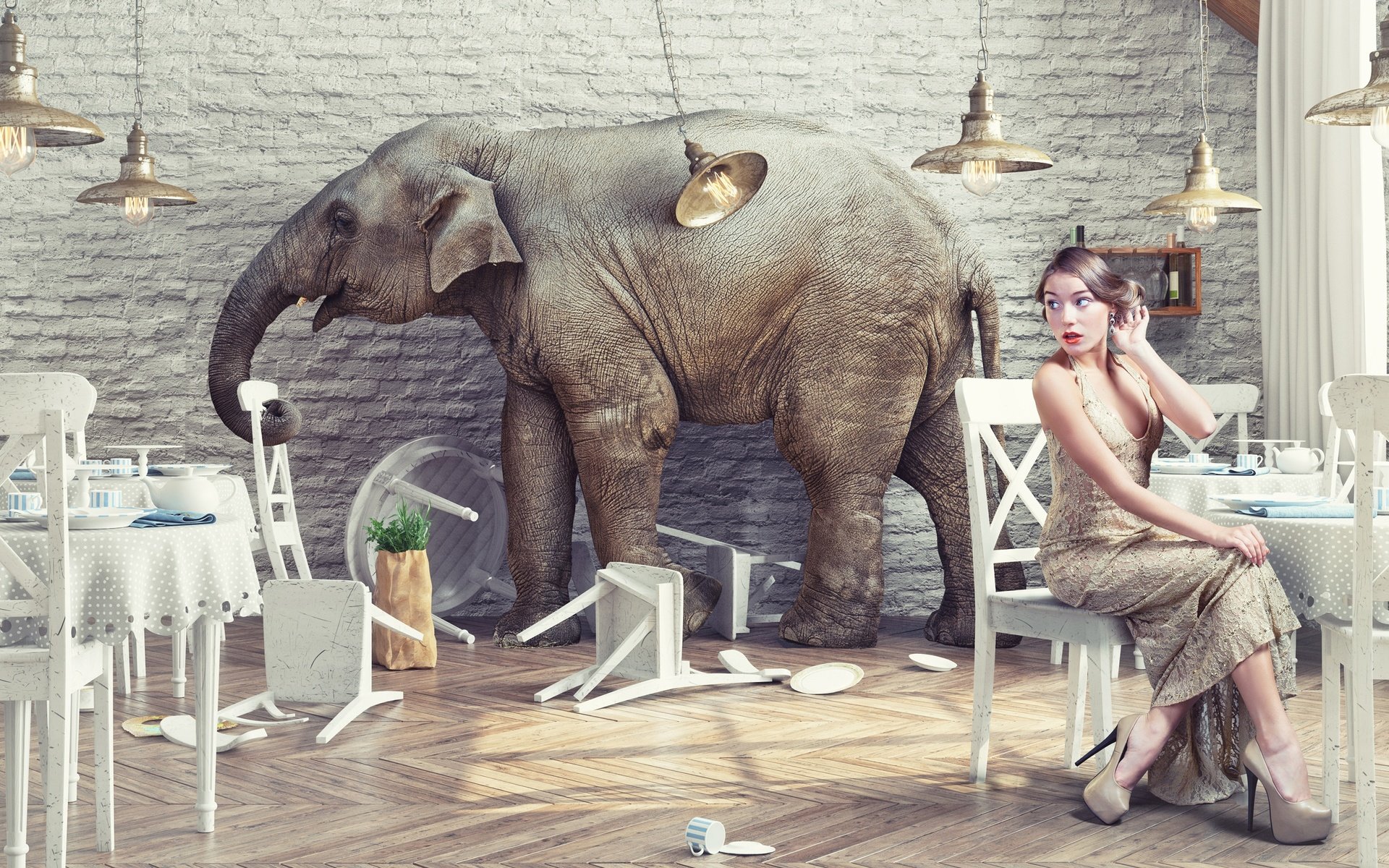 Обои девушка, слон, креатив, ресторан, girl, elephant, creative, restaurant разрешение 2880x1800 Загрузить