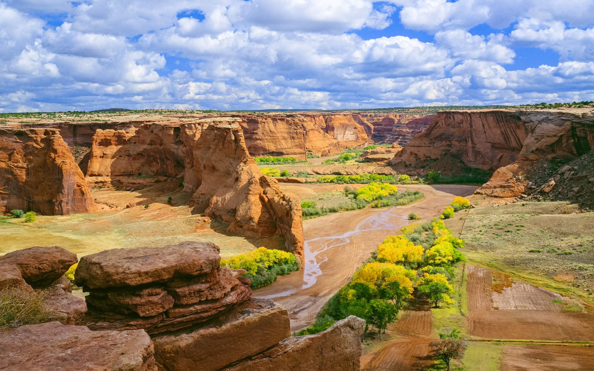 Обои небо, цветы, облака, скалы, пейзаж, каньон, de chelly, the sky, flowers, clouds, rocks, landscape, canyon разрешение 3840x2160 Загрузить