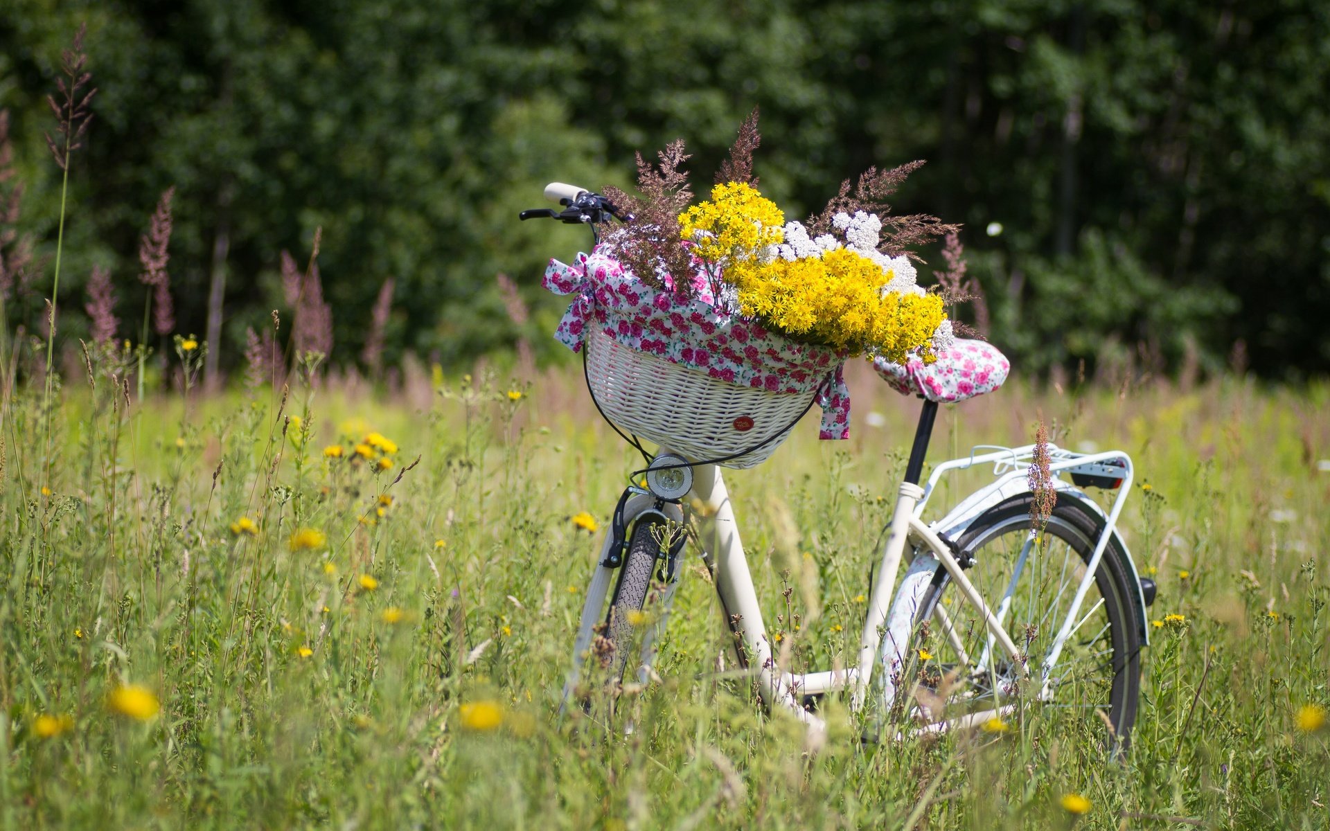 Обои цветы, растения, луг, корзина, полевые цветы, велосипед, flowers, plants, meadow, basket, wildflowers, bike разрешение 5184x3456 Загрузить