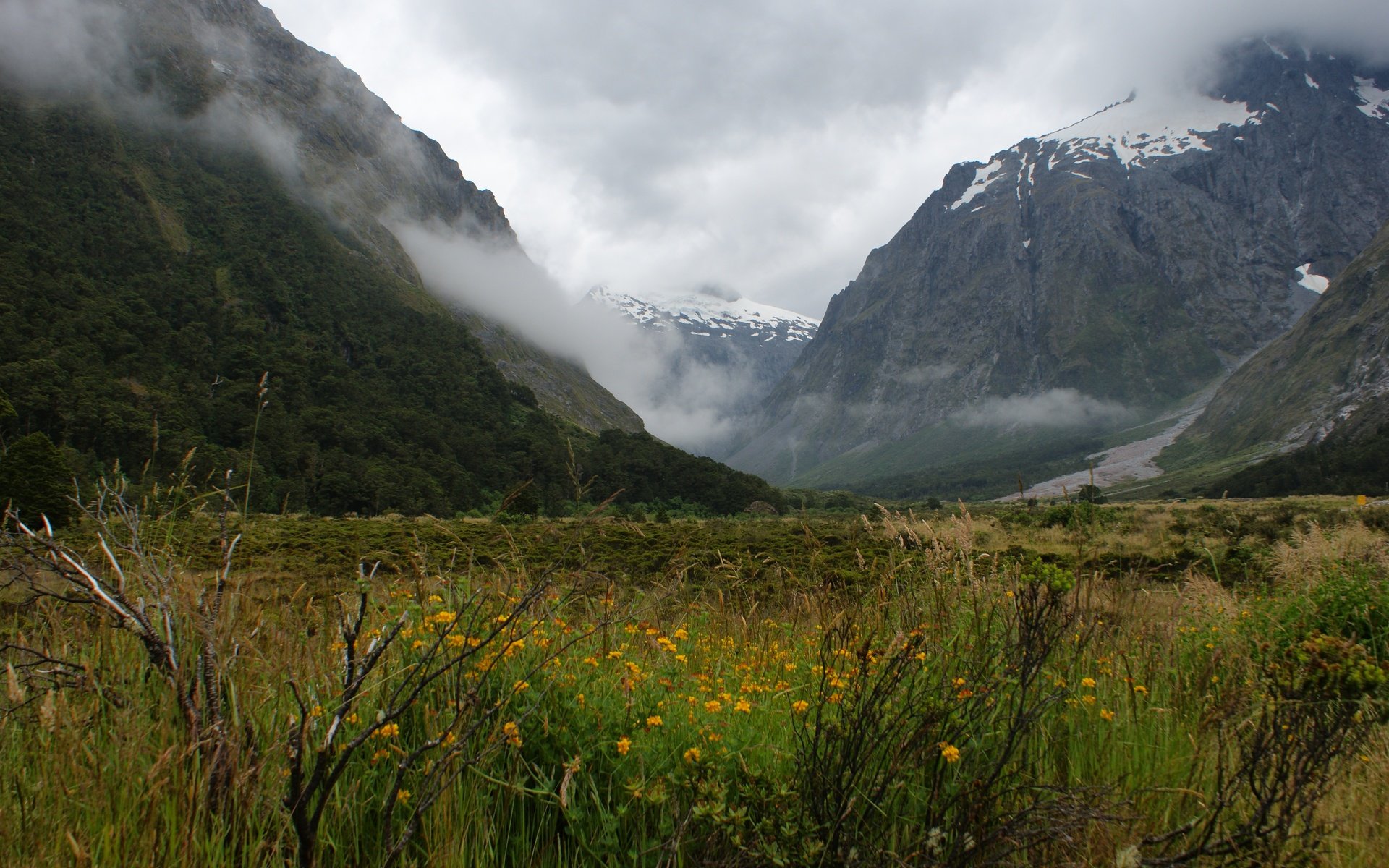 Обои горы, растения, пейзаж, туман, mountains, plants, landscape, fog разрешение 4592x3056 Загрузить