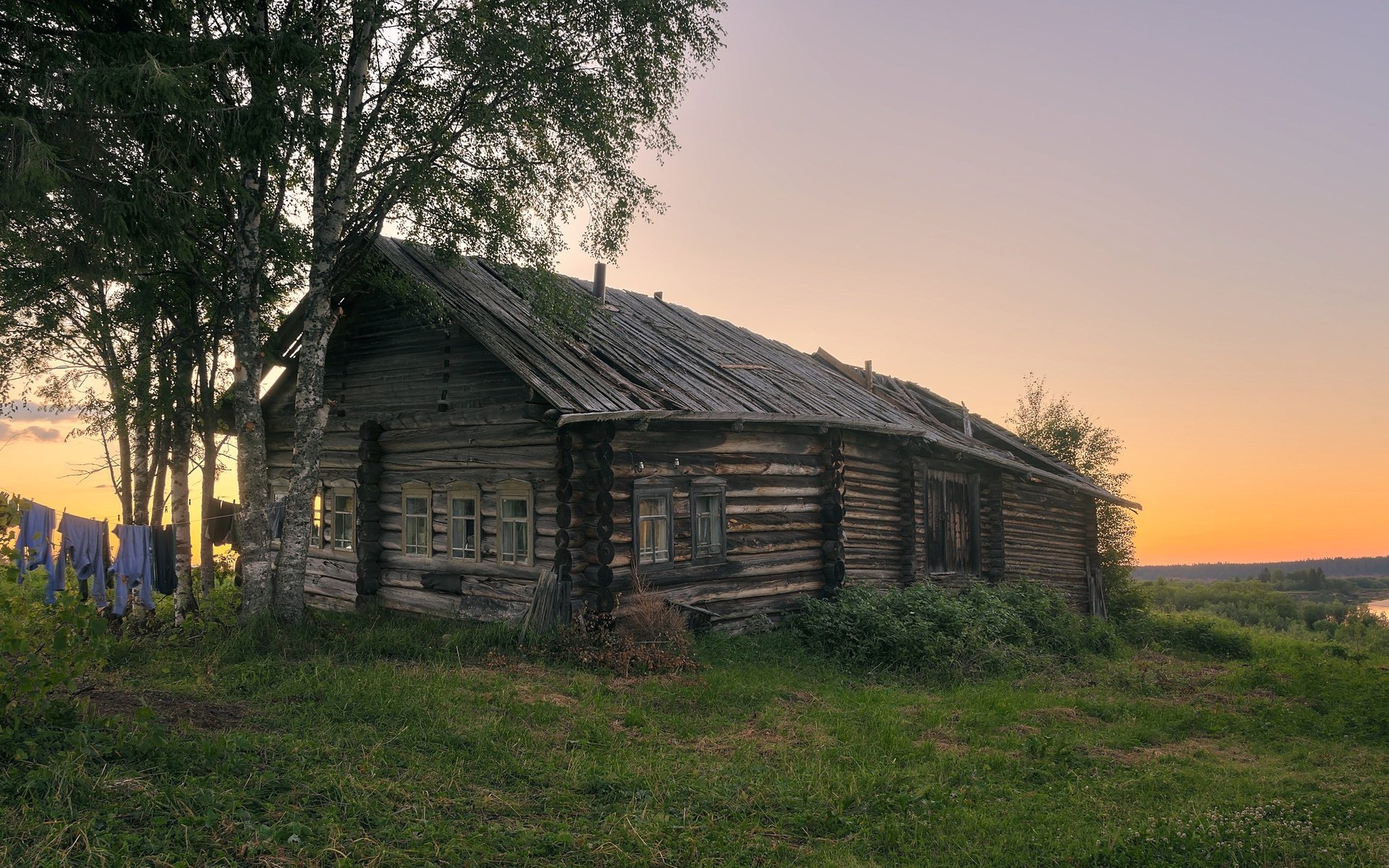 Обои трава, березы, лето, деревня, дом, архангельская область, печище, grass, birch, summer, village, house, arkhangelsk oblast, pechysche разрешение 2391x1400 Загрузить