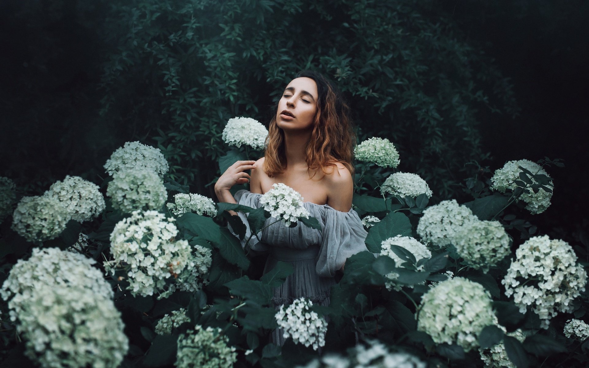 Обои цветы, девушка, настроение, гортензия, amy spanos, flowers, girl, mood, hydrangea разрешение 2048x1365 Загрузить