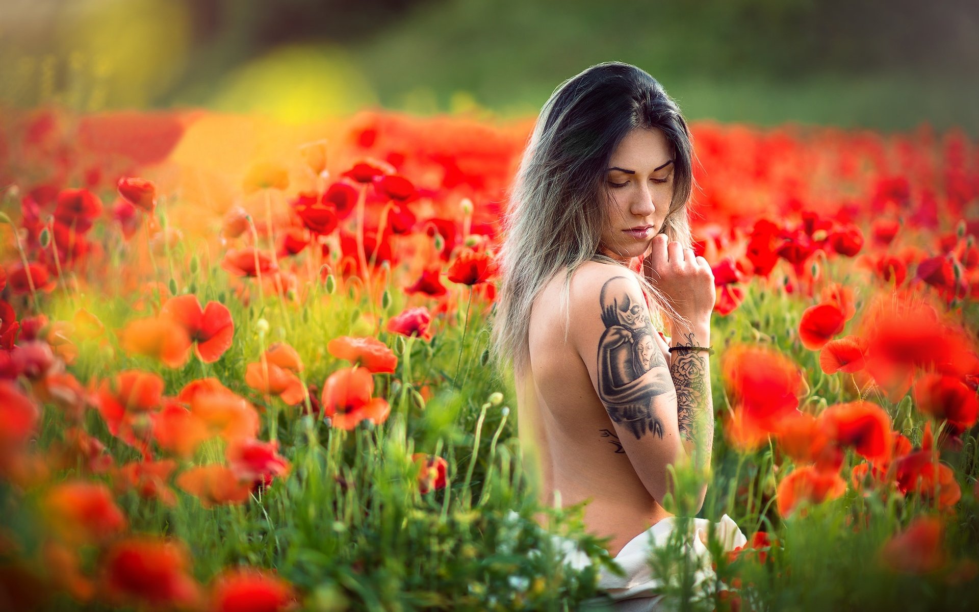 Обои цветы, девушка, настроение, маки, луг, тату, спина, боке, flowers, girl, mood, maki, meadow, tattoo, back, bokeh разрешение 2048x1367 Загрузить