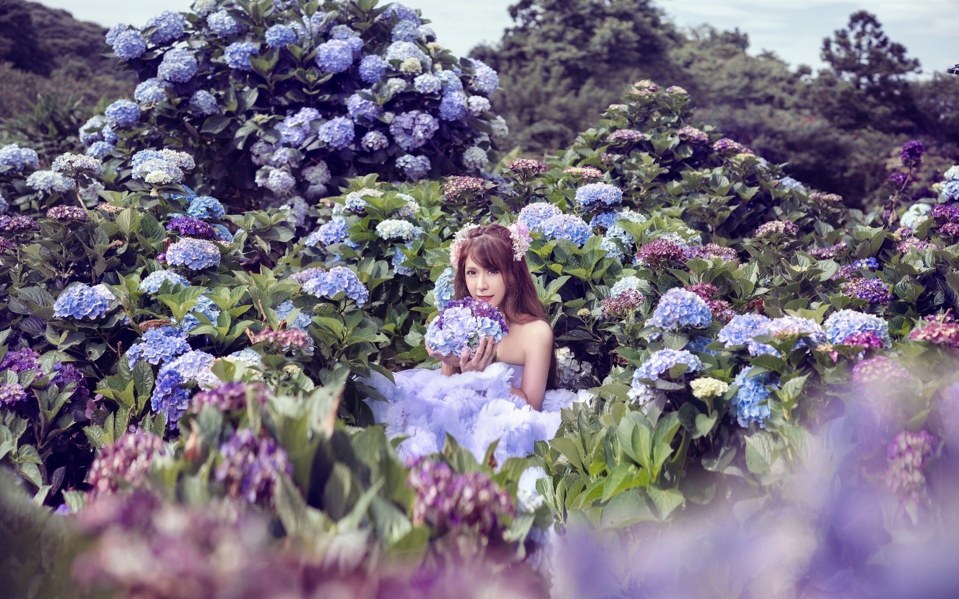 Обои цветы, девушка, азиатка, гортензия, фотоссесия, flowers, girl, asian, hydrangea разрешение 2048x1367 Загрузить