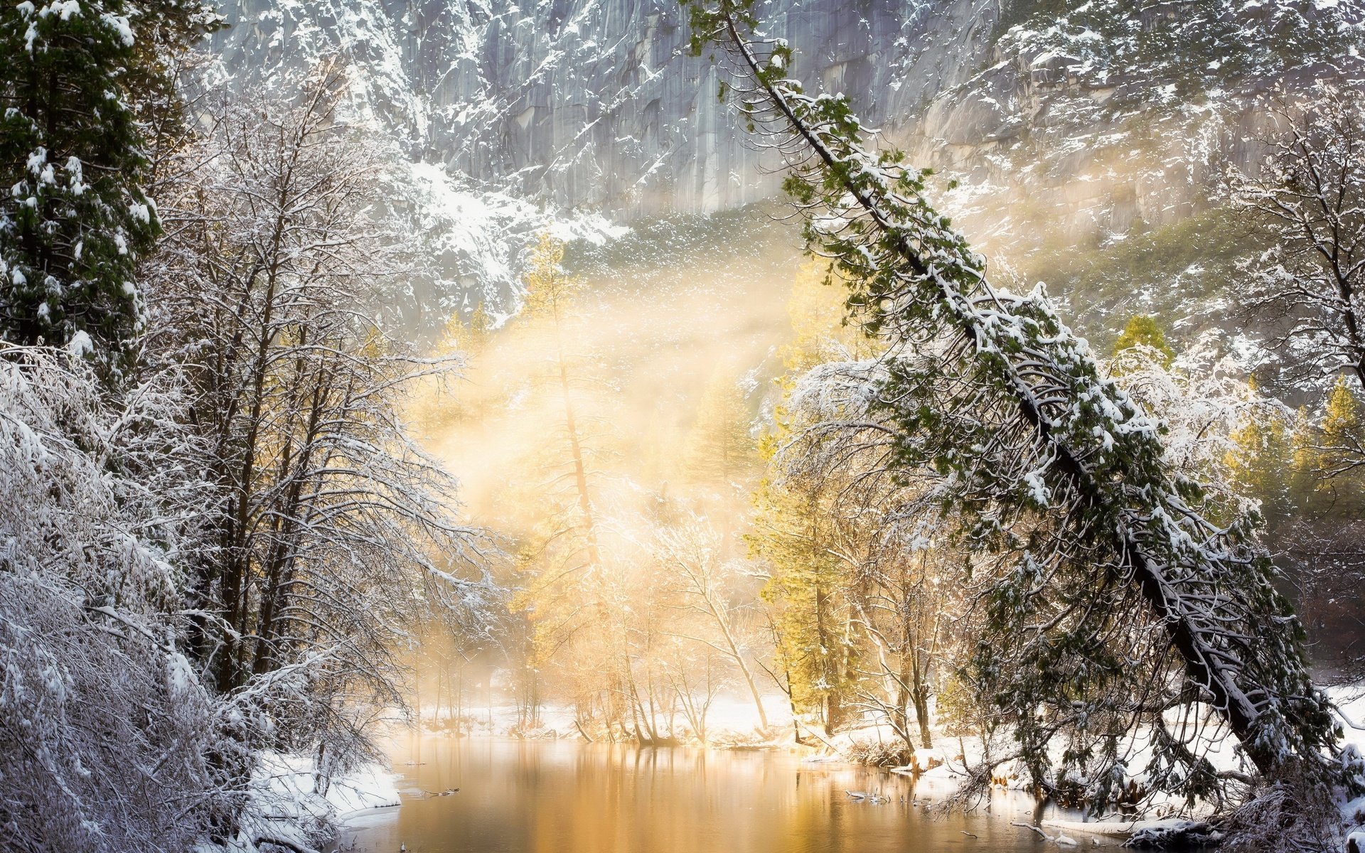 Обои река, солнце, природа, лес, зима, river, the sun, nature, forest, winter разрешение 2710x1750 Загрузить