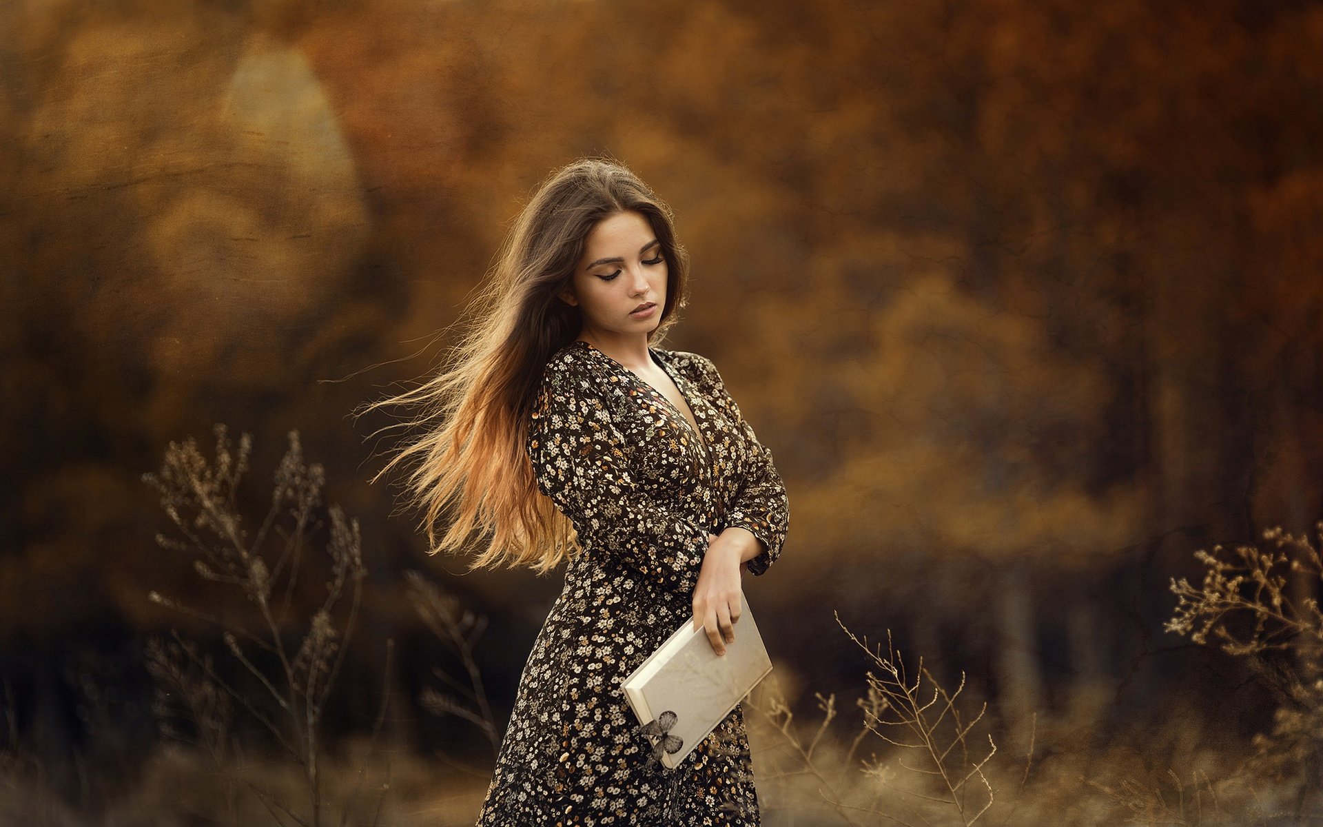 Обои природа, девушка, платье, бабочка, книга, nature, girl, dress, butterfly, book разрешение 2048x1284 Загрузить